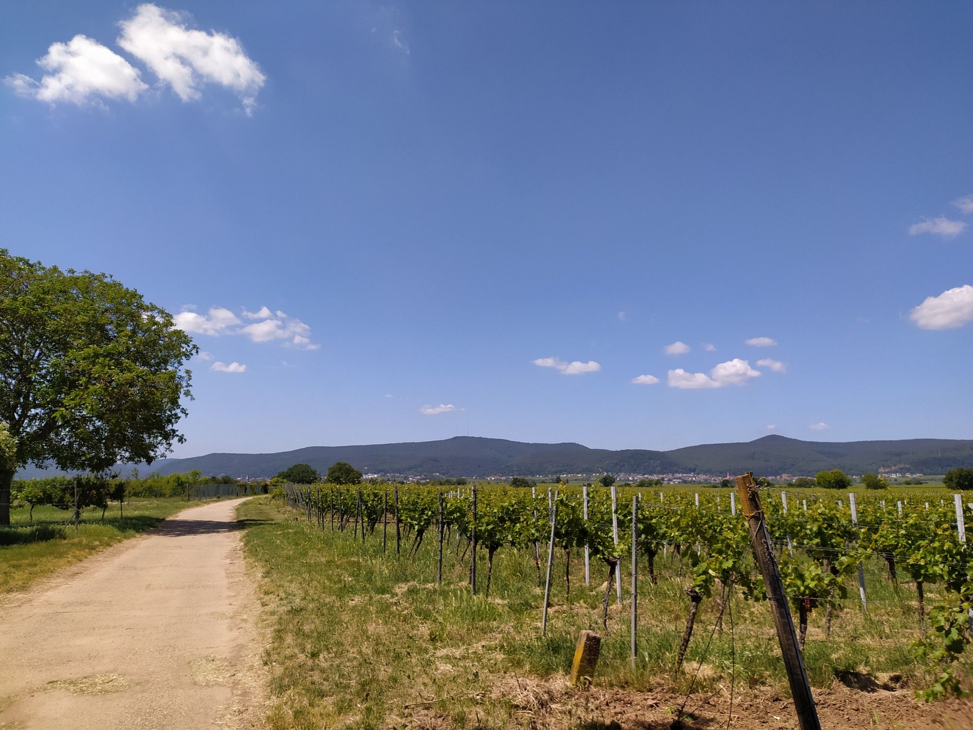 schöner Blick