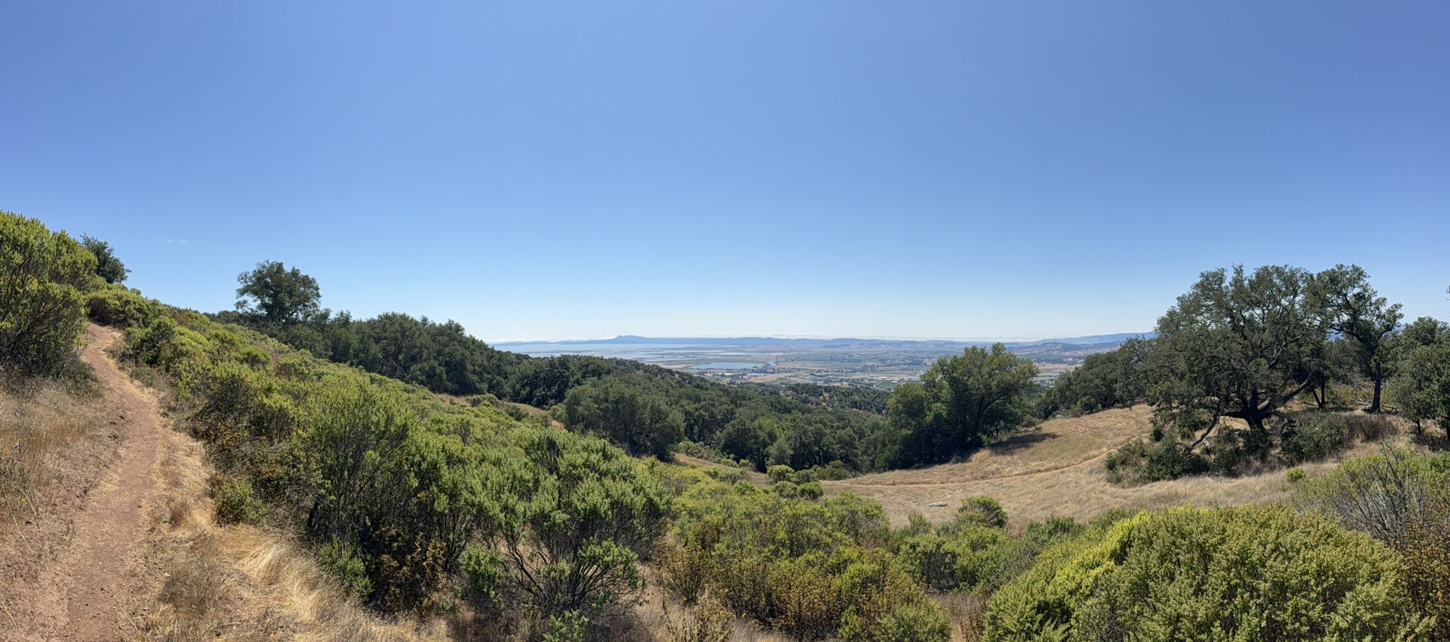 A panoramic view of a valley with green hills under a clear blue sky. - Skyline and Buckeye Trail Loop