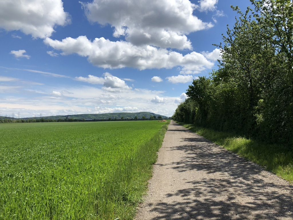 Blick zum Bisamberg