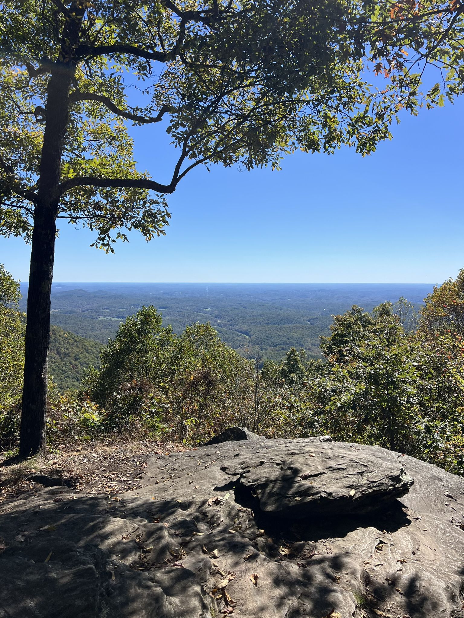 Sunny mountain vista from a rocky overlook with green trees. - Appalachian Trail: Cooper Gap to Woody Gap