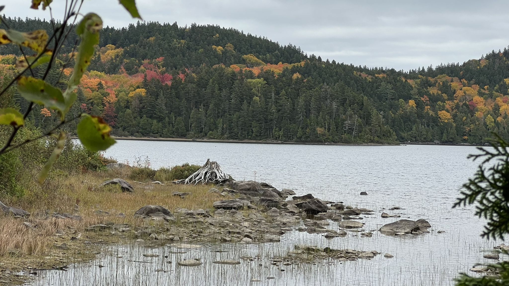 Overcast lake with rocky shore and hills displaying autumn foliage. - Little Moose Mountain and Ponds Loop