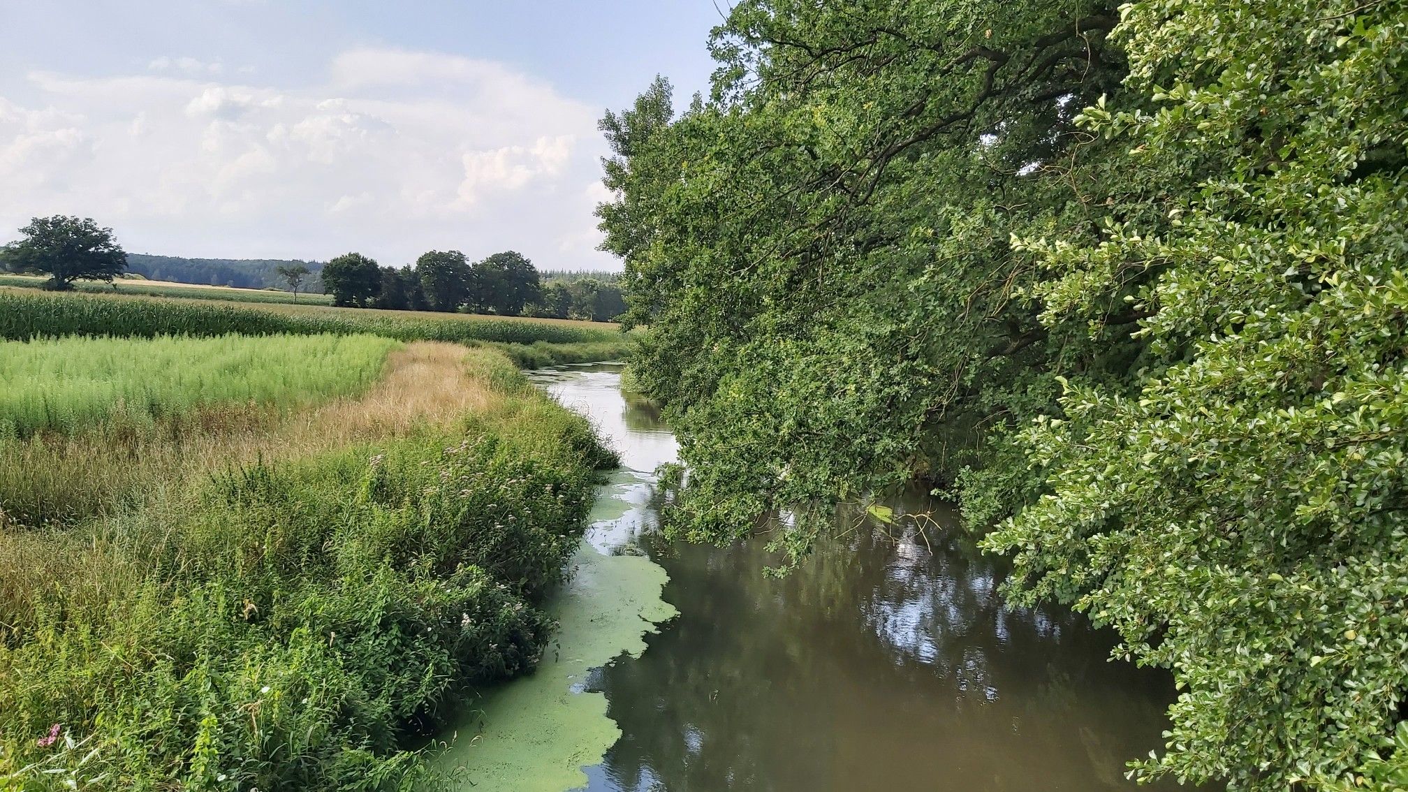 Benzen, die Böhme