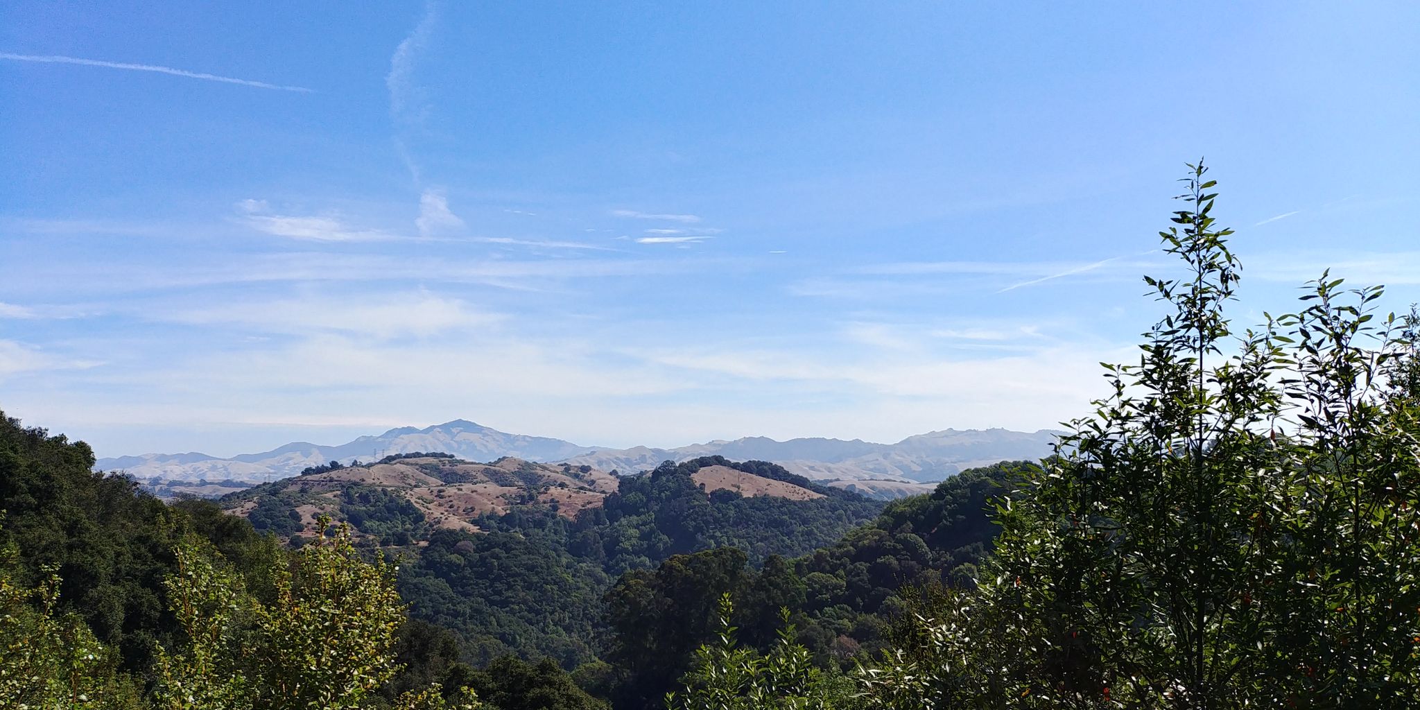 Panoramic view of green rolling hills and distant mountains under a clear sky. - Huckleberry Loop Trail