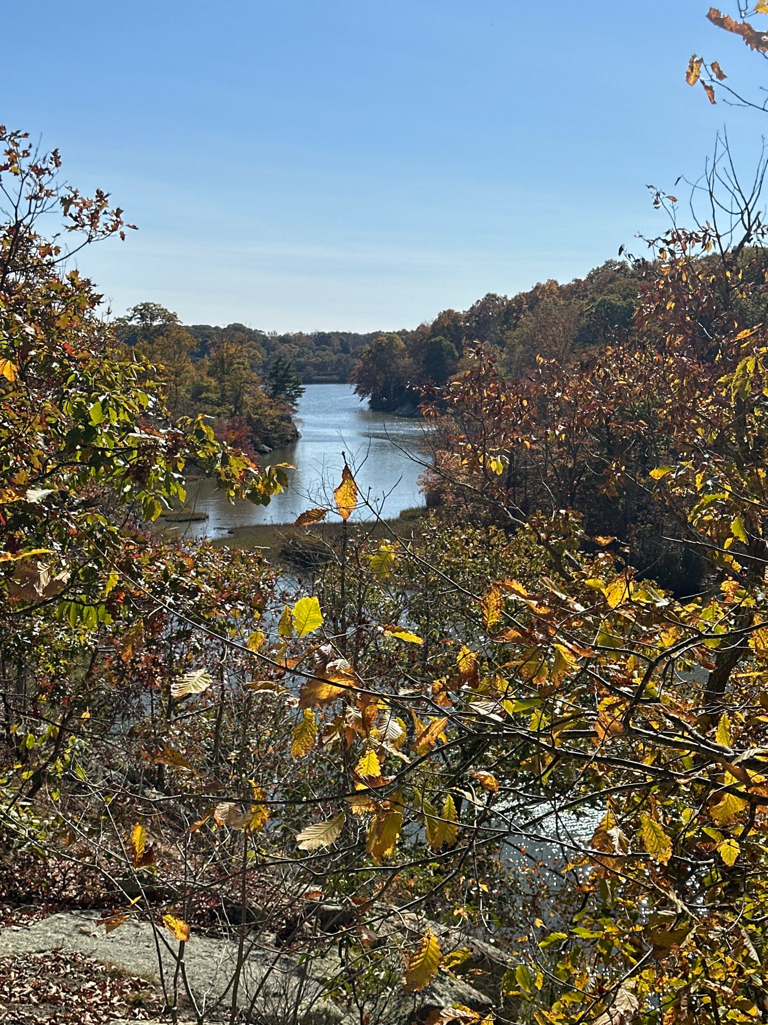 View of a winding river through colorful autumn trees on a clear day. - West Woods Loop Trail