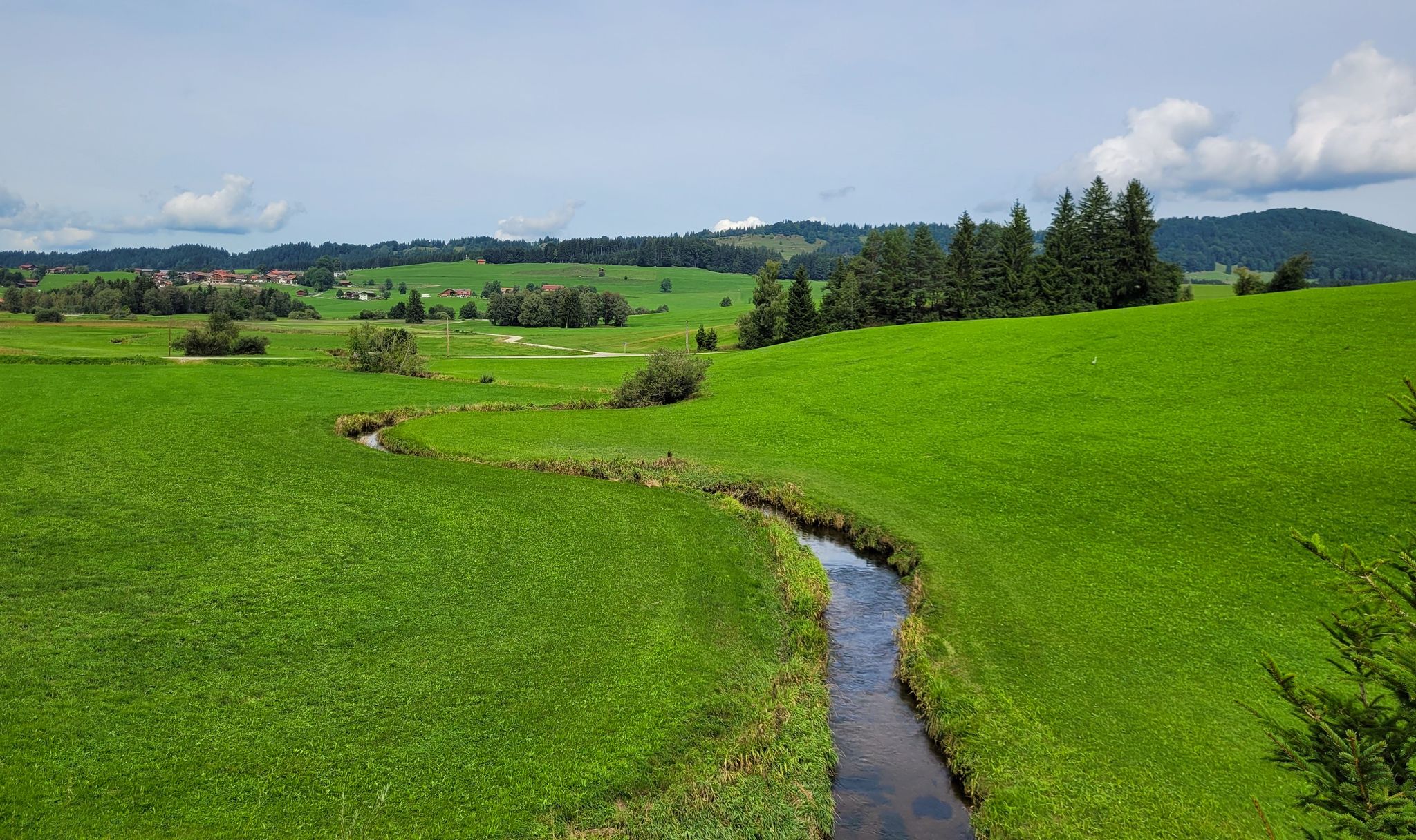 Hopfensee Ache