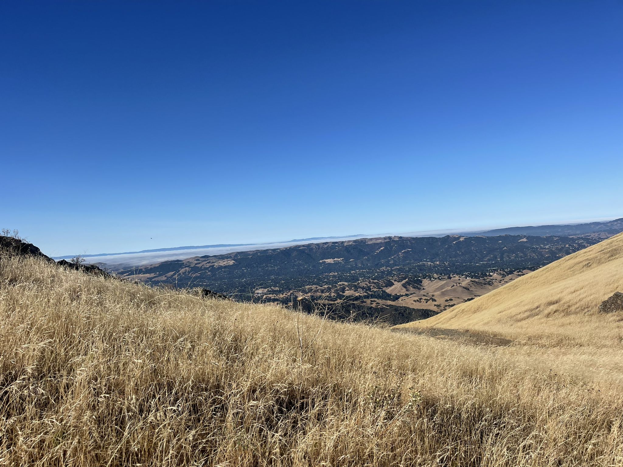 Golden dry grass on a hillside overlooking a vast, hazy mountain landscape. Clear sky. - Mitchell Canyon Visitor Center – Juniper Campground loop from Lot 25