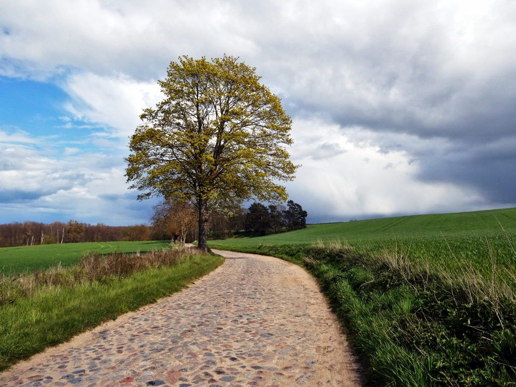 alte Kopfsteinpflasterstraße nach Klein Sperrenberg