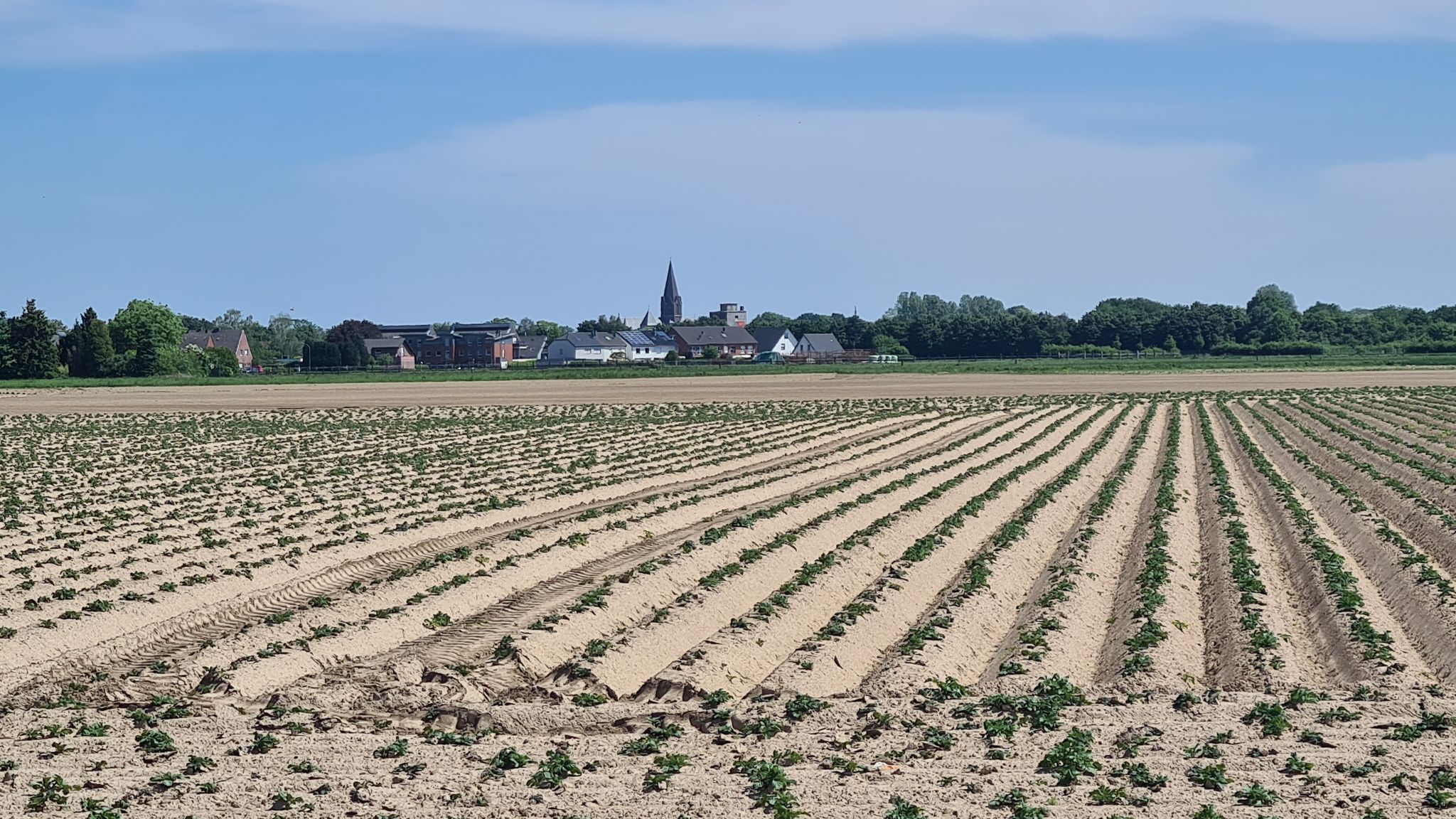 Rheindahlen