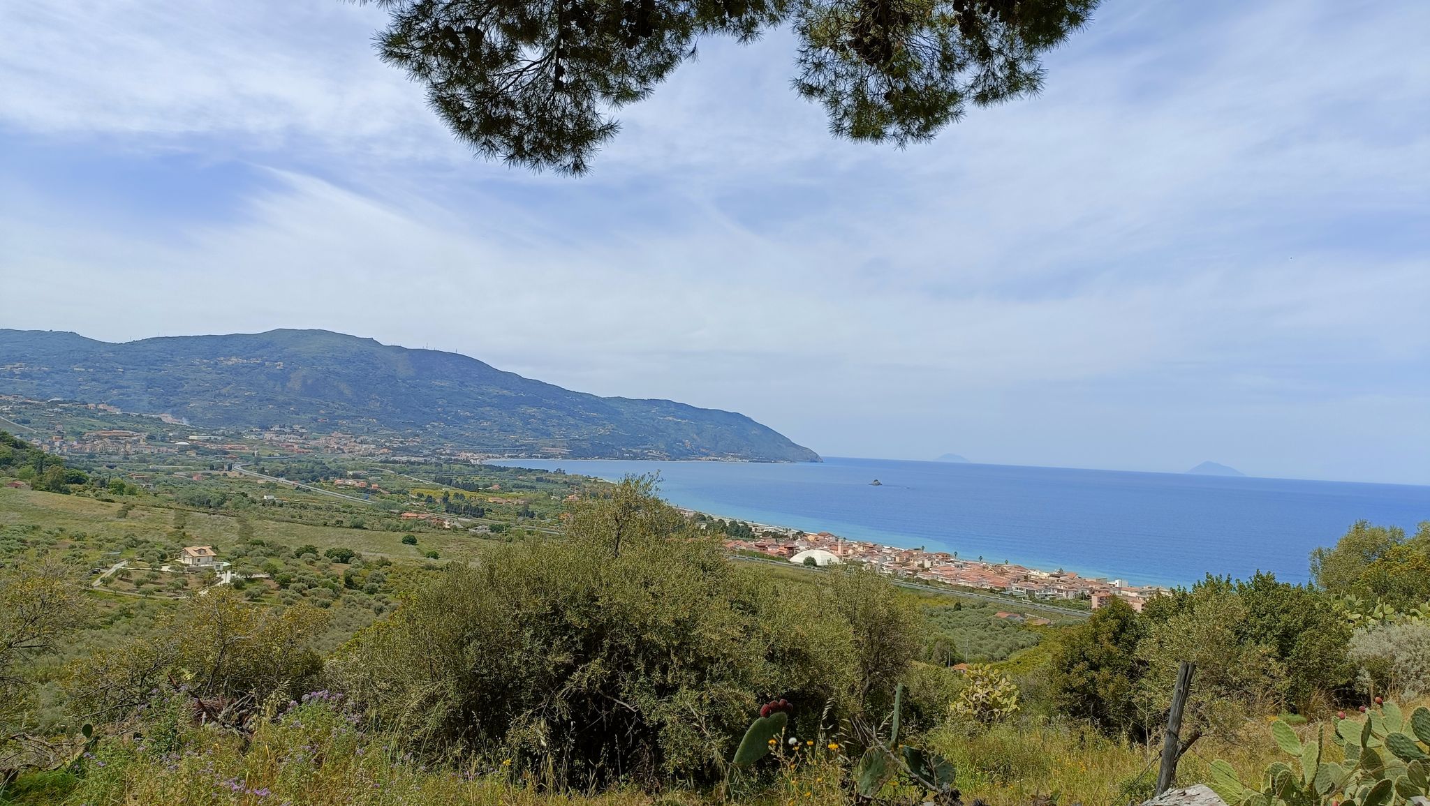 Vista sulla riserva di Marinello