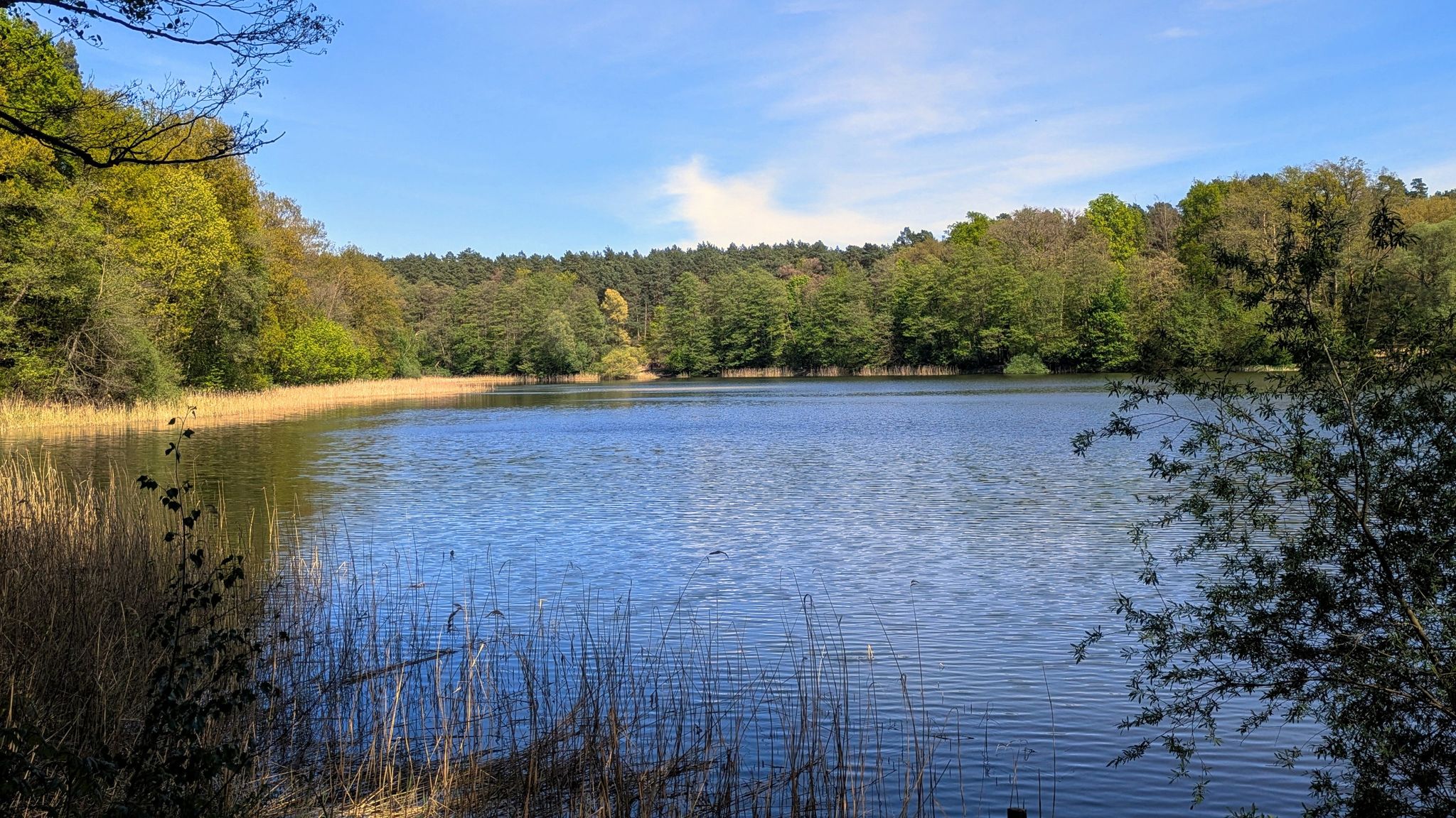 Mechesee