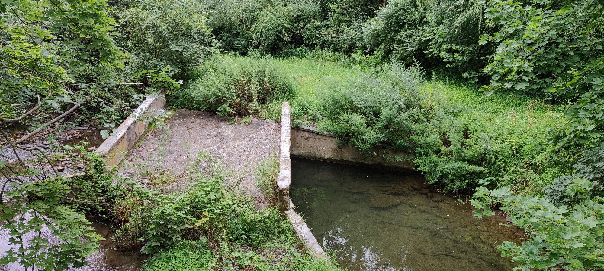 An old concrete bridge spans a small stream, surrounded by lush green foliage. - Coplay Creek loop from Ironton