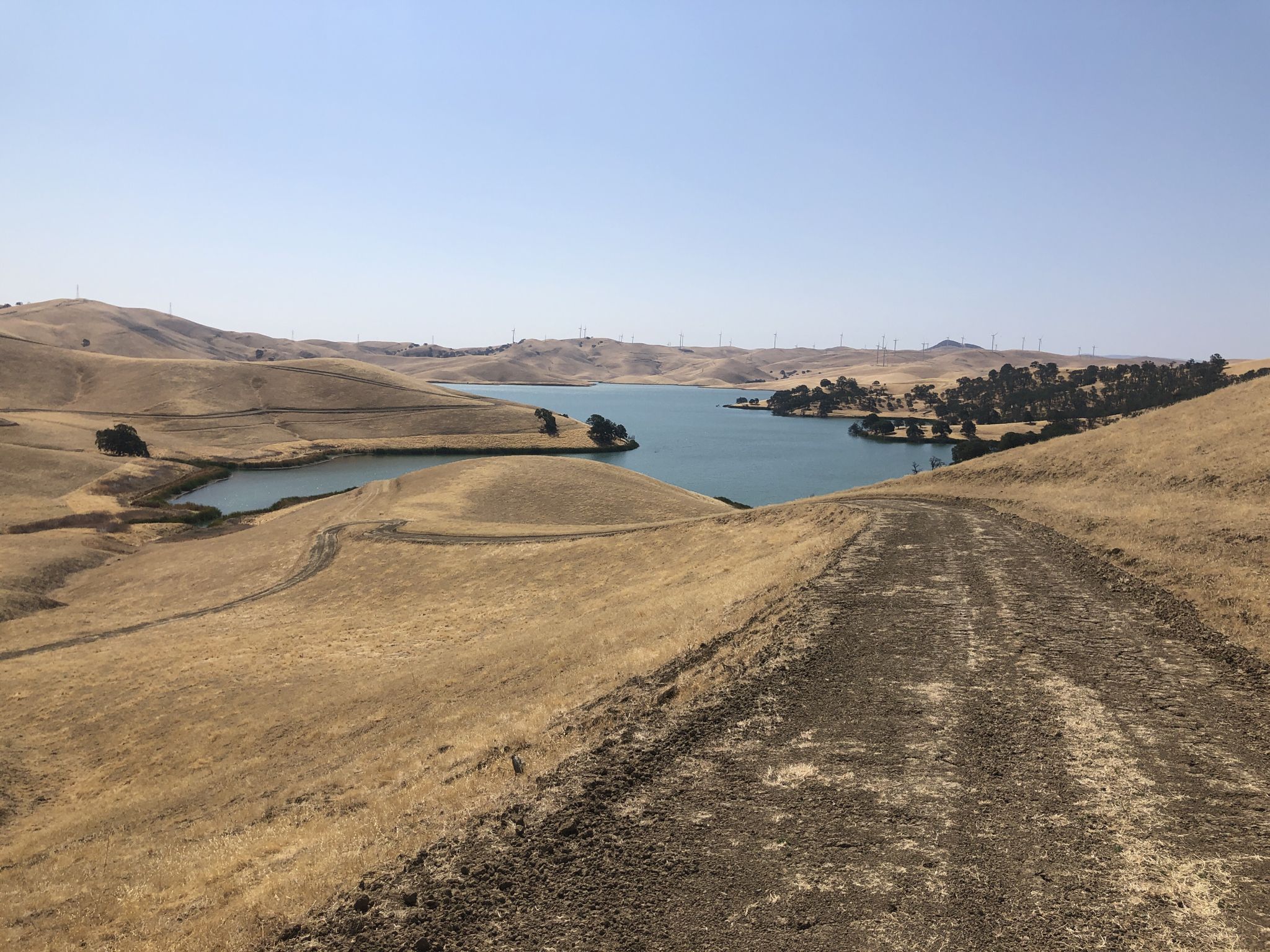 Dirt road overlooking a reservoir surrounded by dry golden hills under clear sky. - Los Vaqueros Reservoir Loop