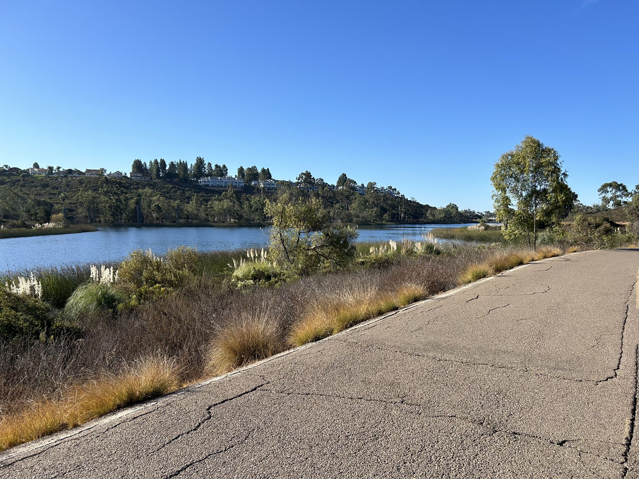 Paved path beside a calm lake with green hills under a clear blue sky. - Lake Miramar loop from Scripps Ranch