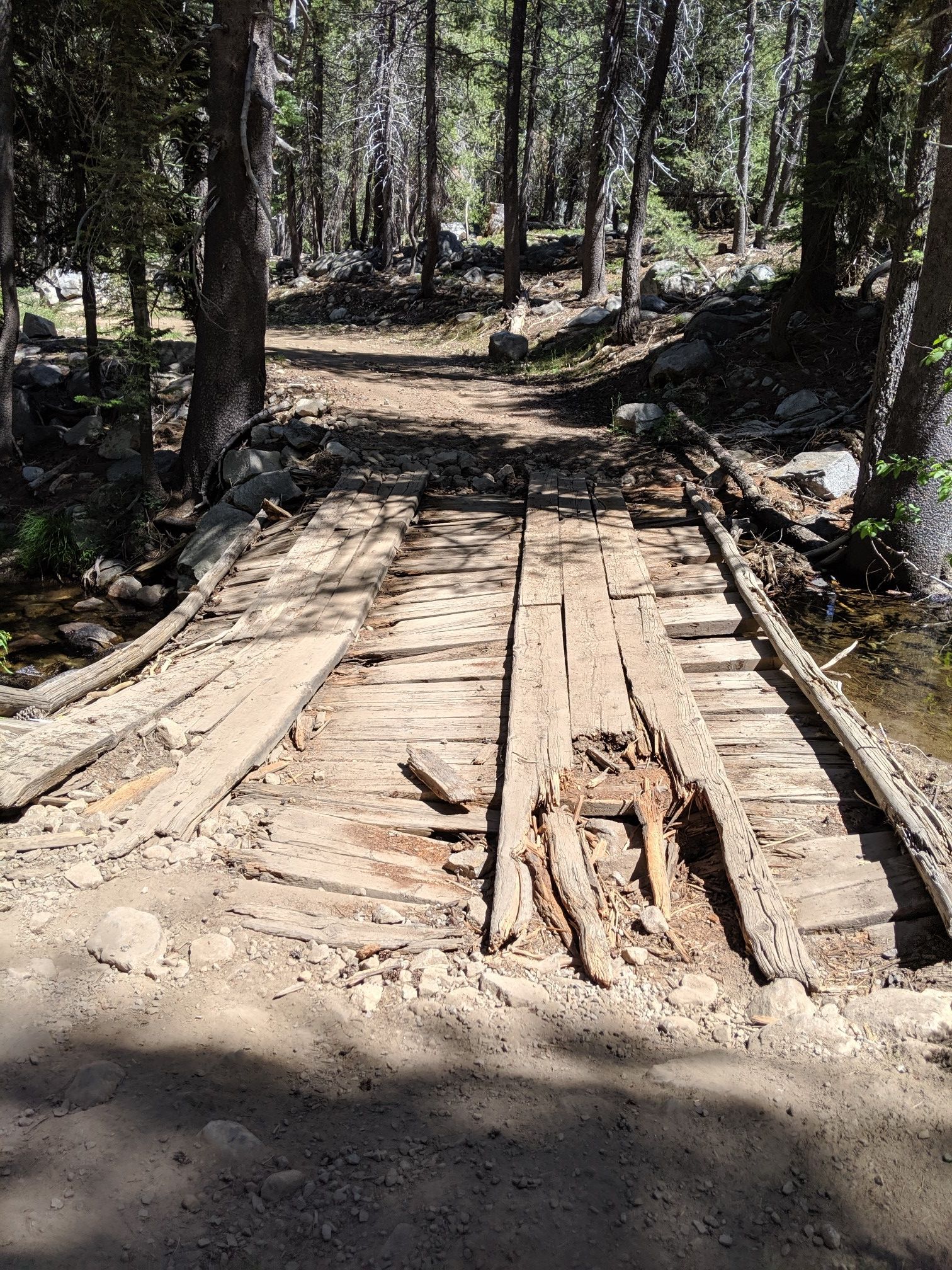 Weathered wooden bridge crossing a small stream in a shaded, dense forest. - Little Donner Peak via Lakeview Canyon Road