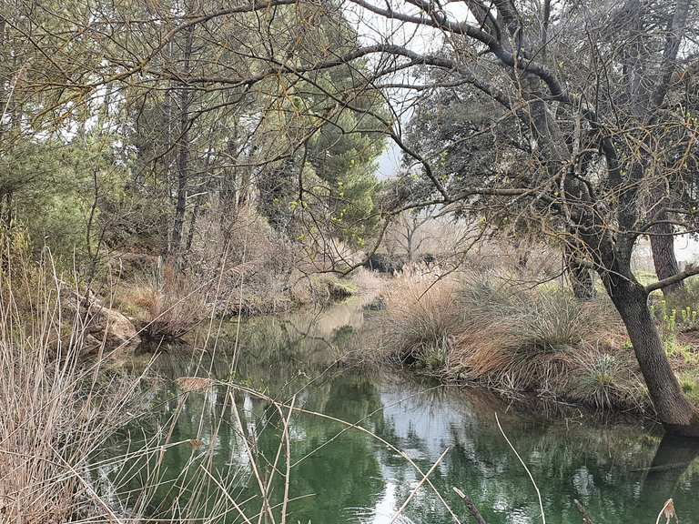 Etappe 28: Cote de Valle de Cazorla - Coto Rios: Dem Río Guadalquivir ...