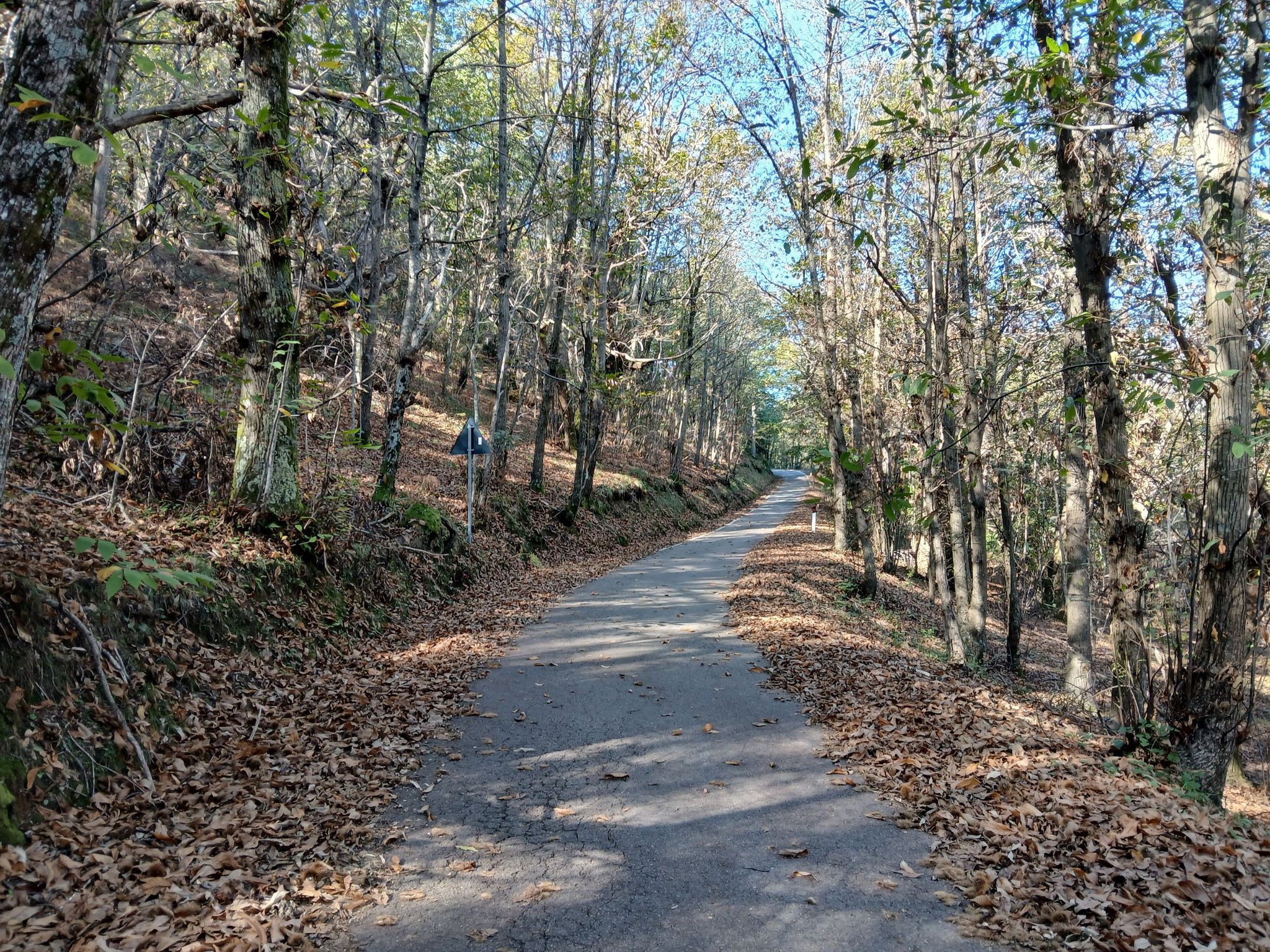 Strada d'autunno