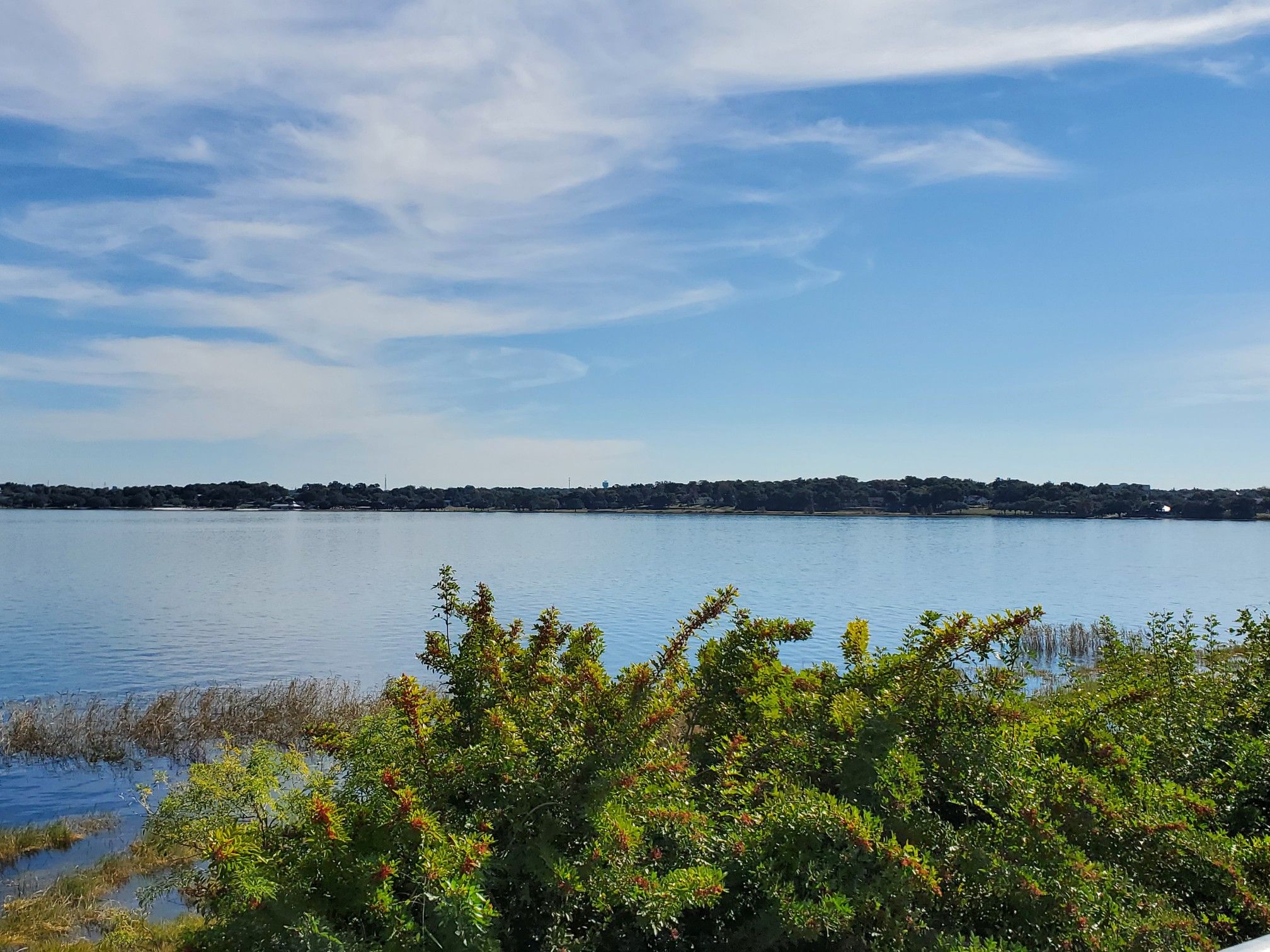 Calm lake with a distant treeline and green bushes in the foreground. - South Lake Trail