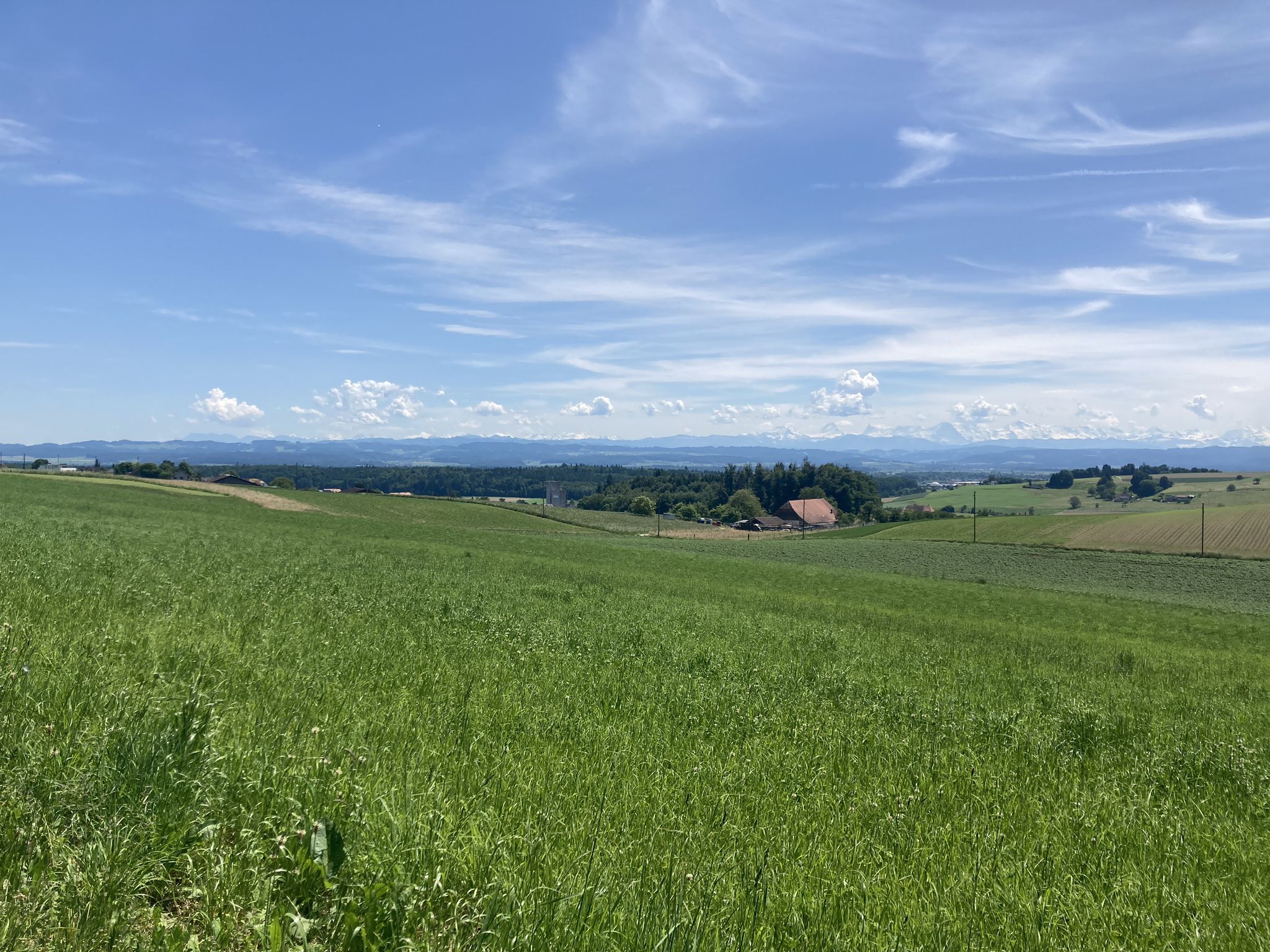 Blick gen Süden; Alpenpanorama...