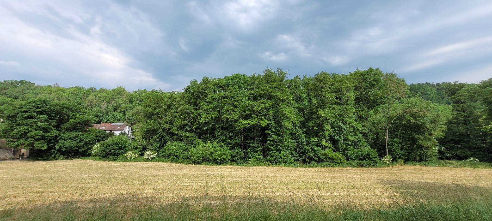 Deswegen