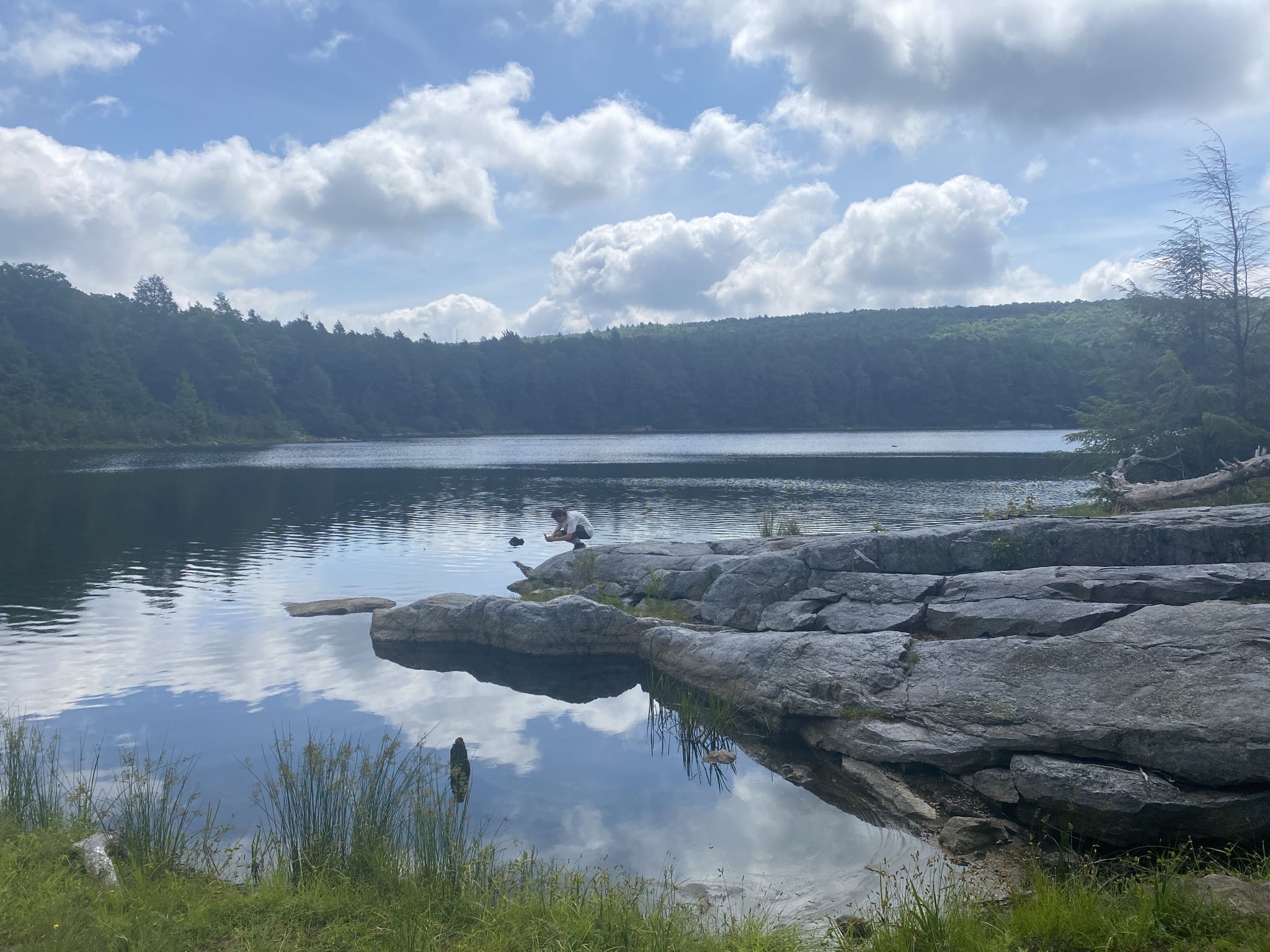 Calm lake with rocky shore, forested hills, and cloudy sky. - Buttermilk Falls, Crater Lake, and Hemlock Pond Loop