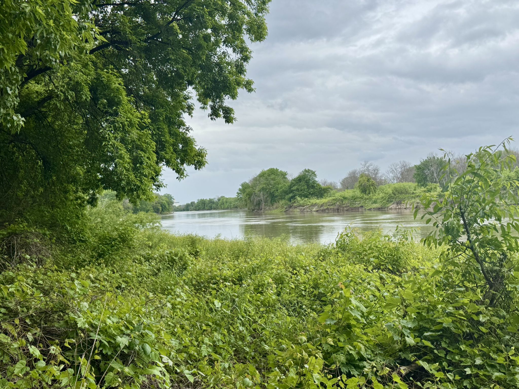 A view of the Minnesota River