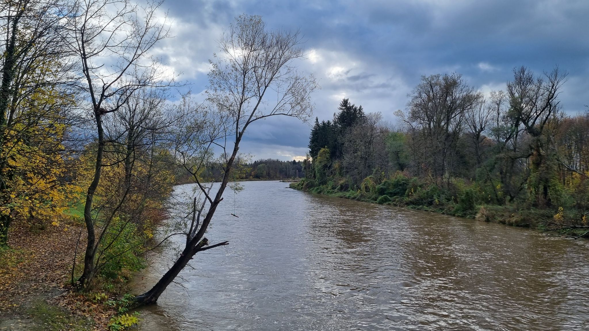 hat auch ordentlich Wasser die Wertach nach dem vielen Regen