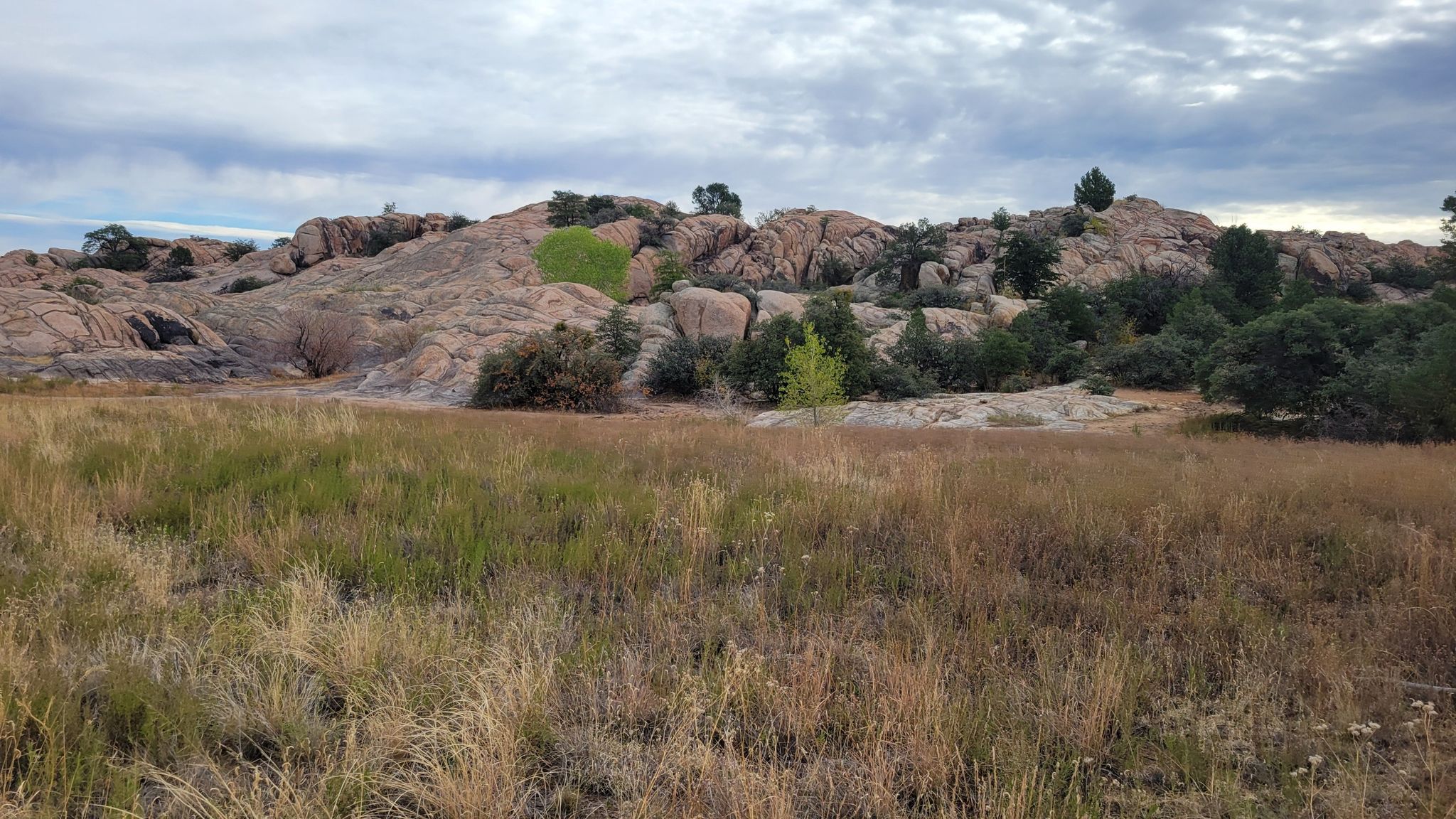 Grassy field with rocky hills and scattered trees under an overcast sky. - Willow Lake Loop Trail