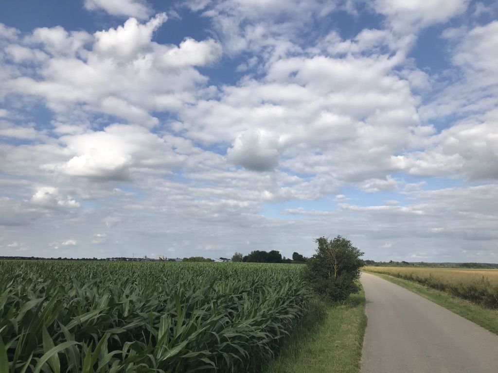 Auch schön... 🌾🌾🌾