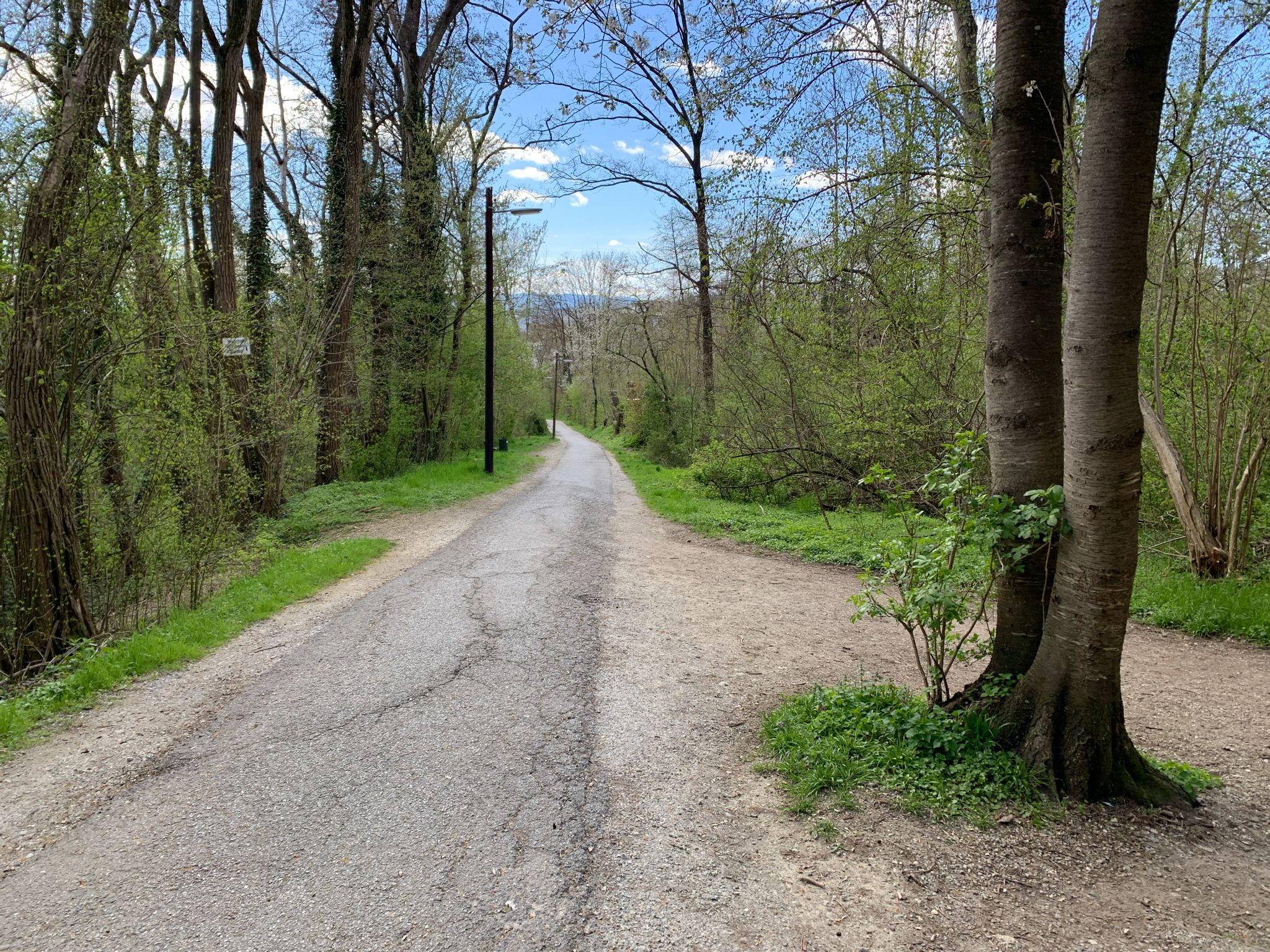 Bergab am Breitenweg