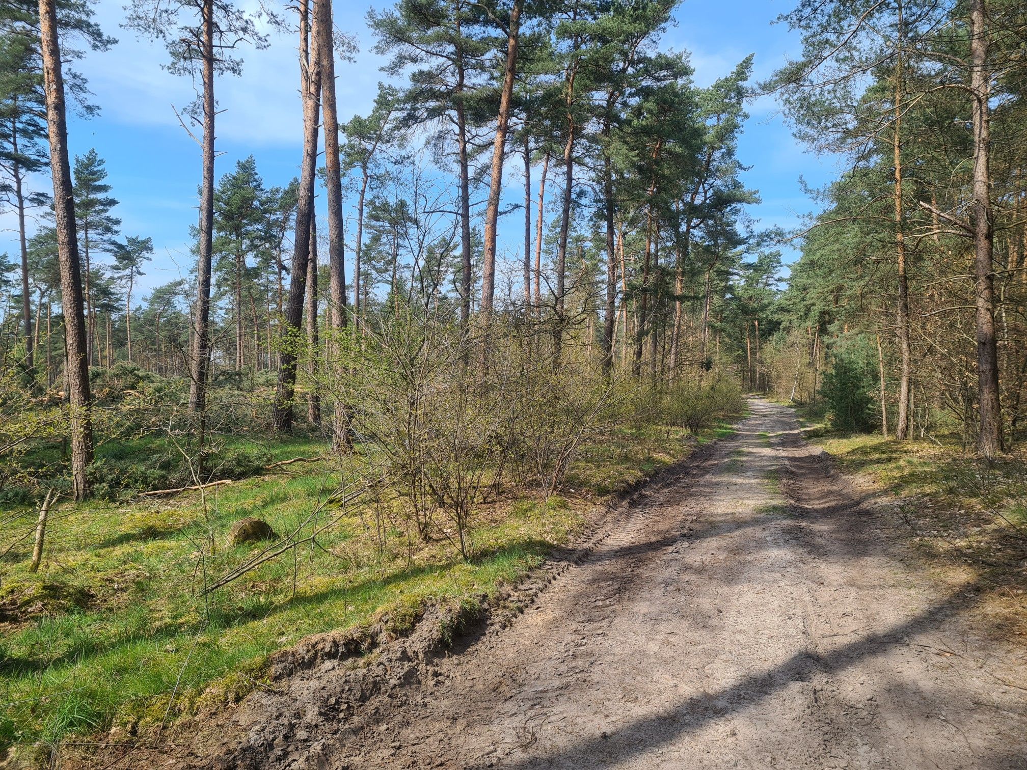 Der Weg ist das Ziel