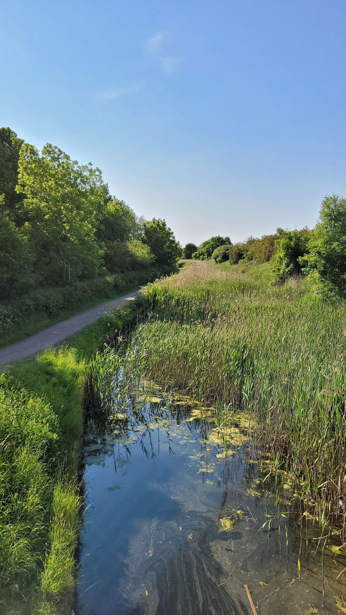 Cotgrave CP
