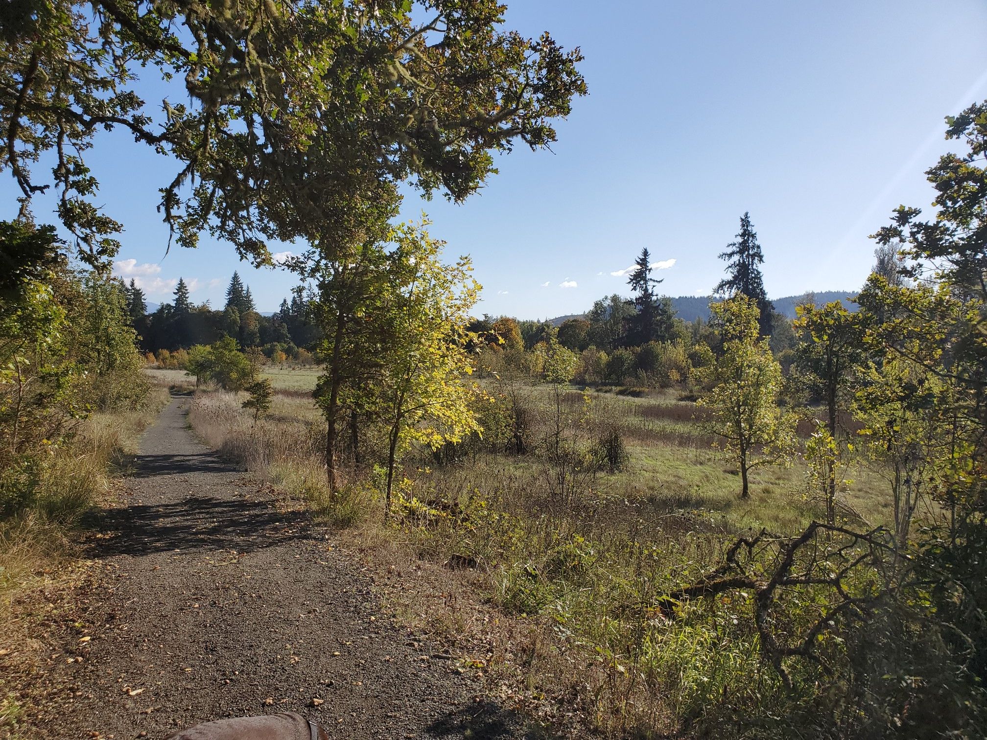 A sunlit dirt path winds through a grassy field with scattered trees under a clear sky. - Mt. Pisgah Outer Loop