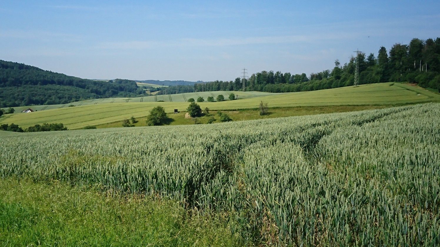 Blick vom Langenzeller Buckel