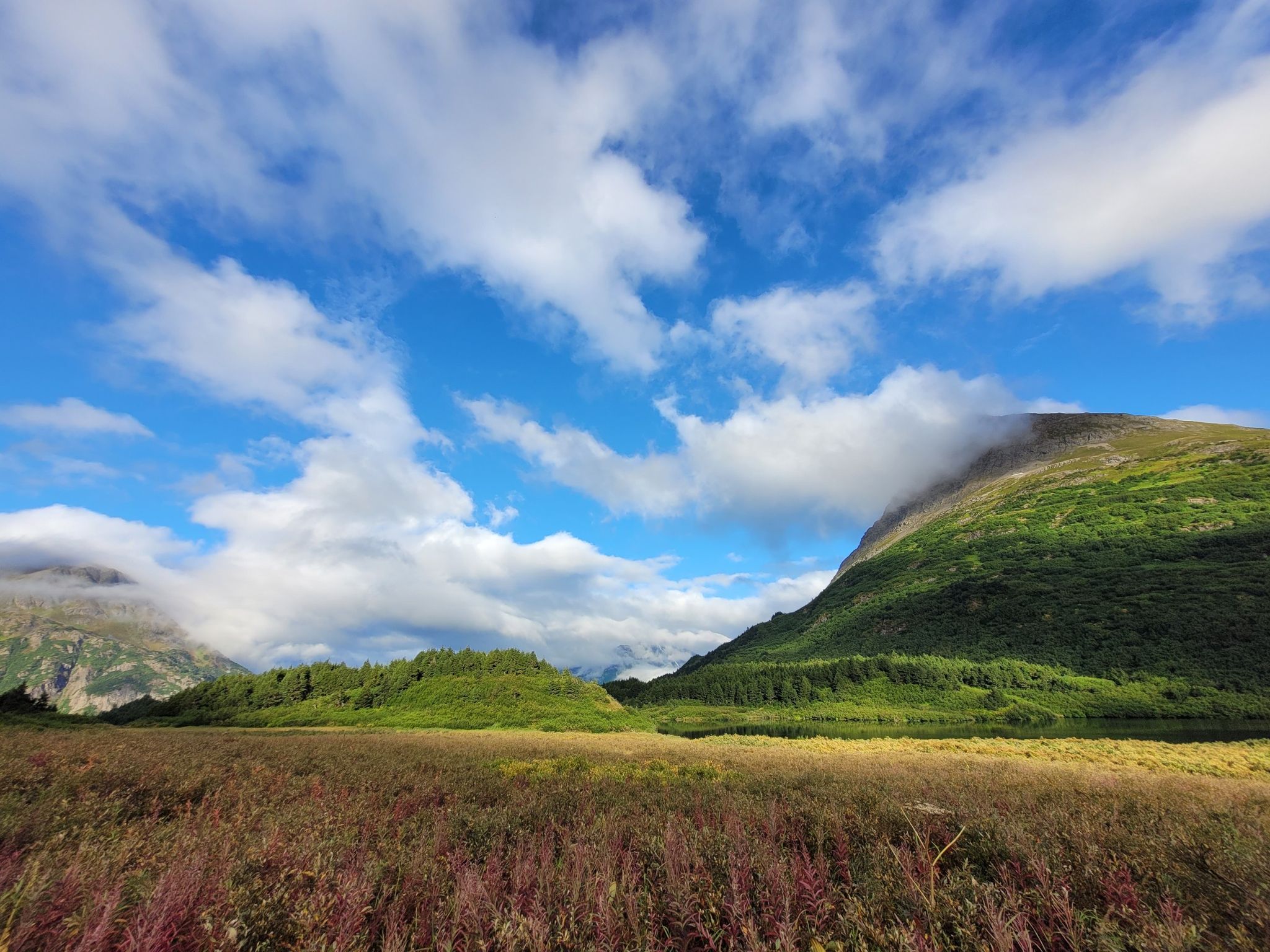 Vast field of colorful grasses leading to green mountains under a blue, cloudy sky. - Carter Lake Trail