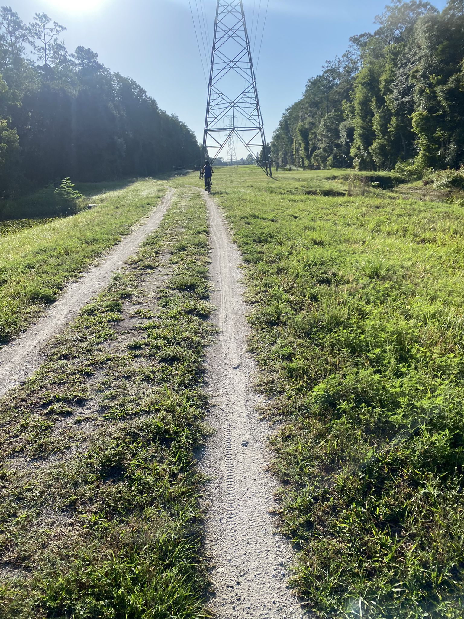 A cyclist rides a dirt path under power lines on a sunny day. - Shingle Creek Trail: Pine Island East Loop