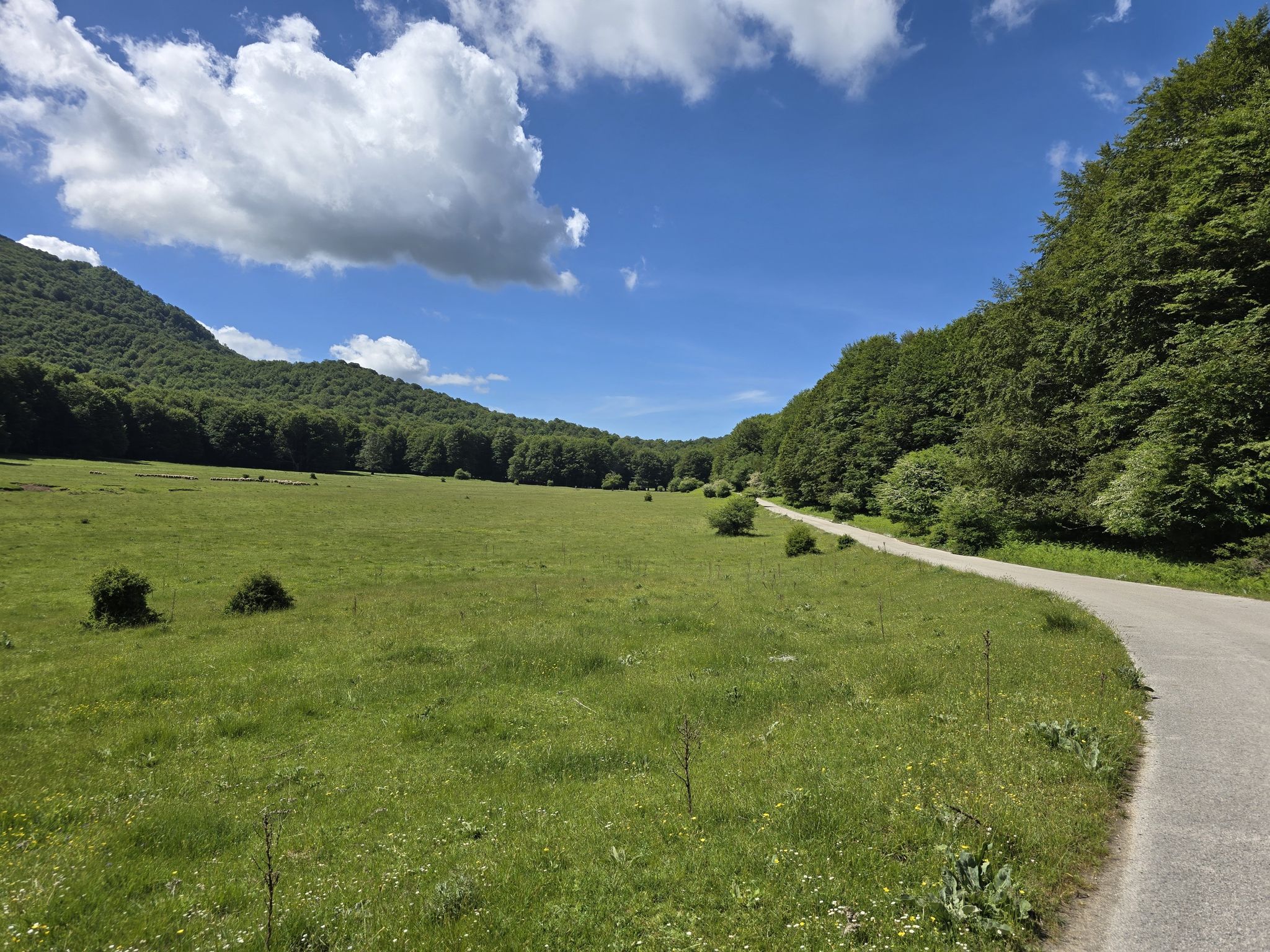 piano dei vaccari