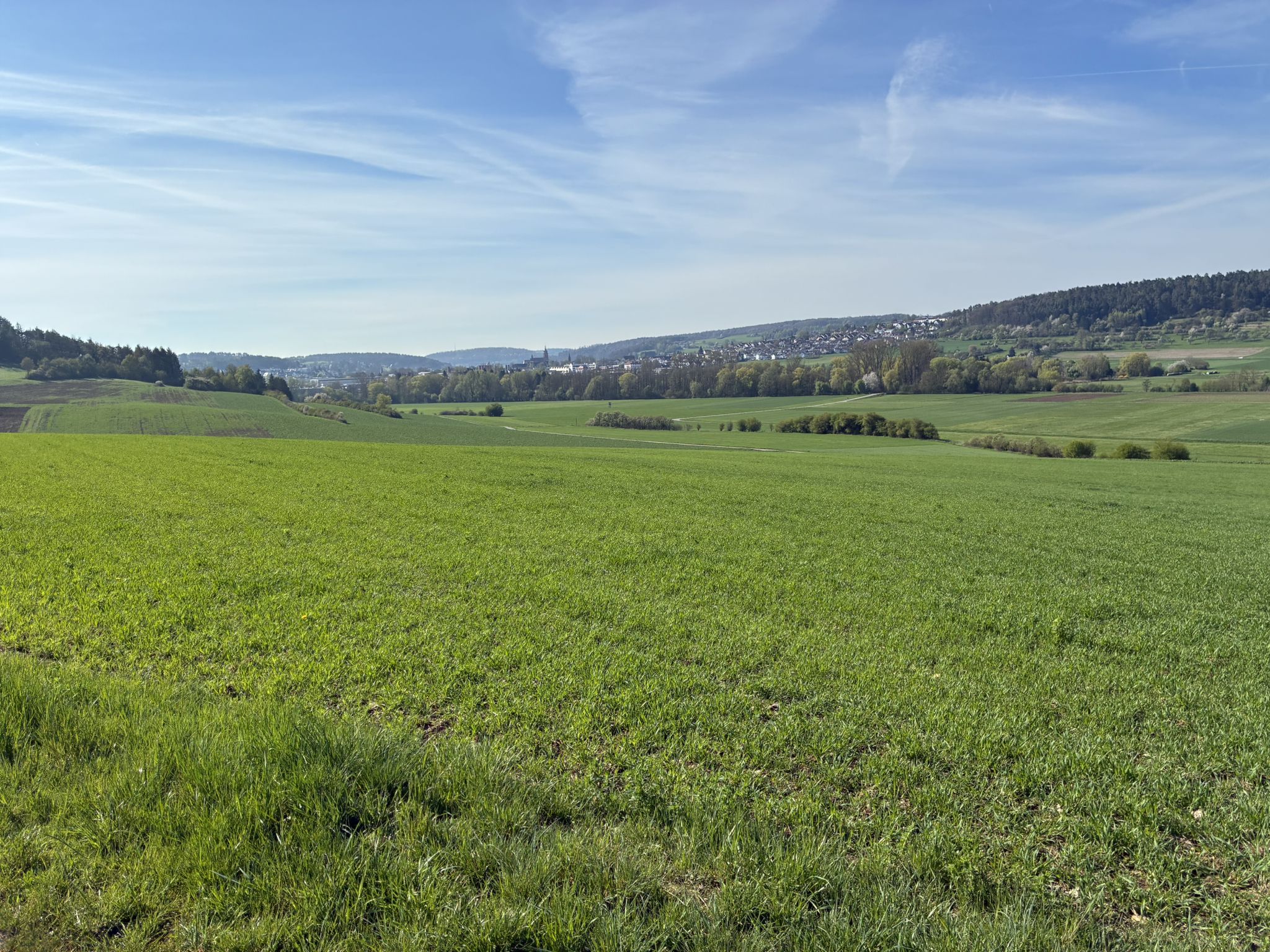 Blick auf WdS