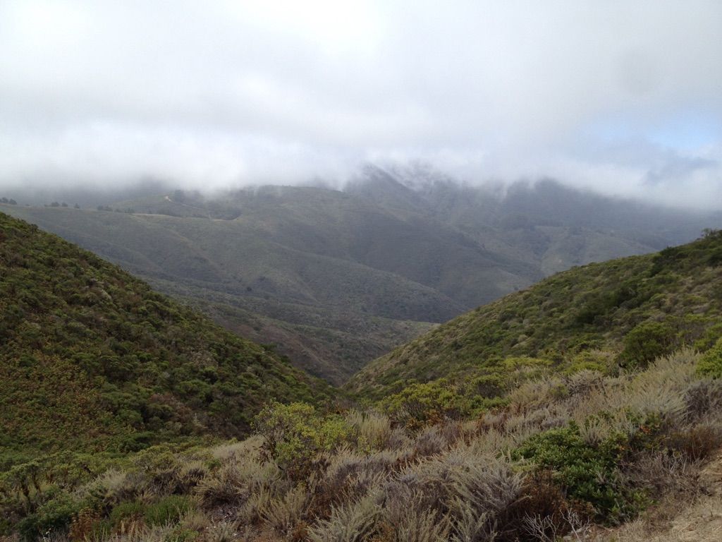 A deep, green mountain valley shrouded in low-hanging, misty clouds. - Fifield Cahill Ridge Trail loop from Receiving station