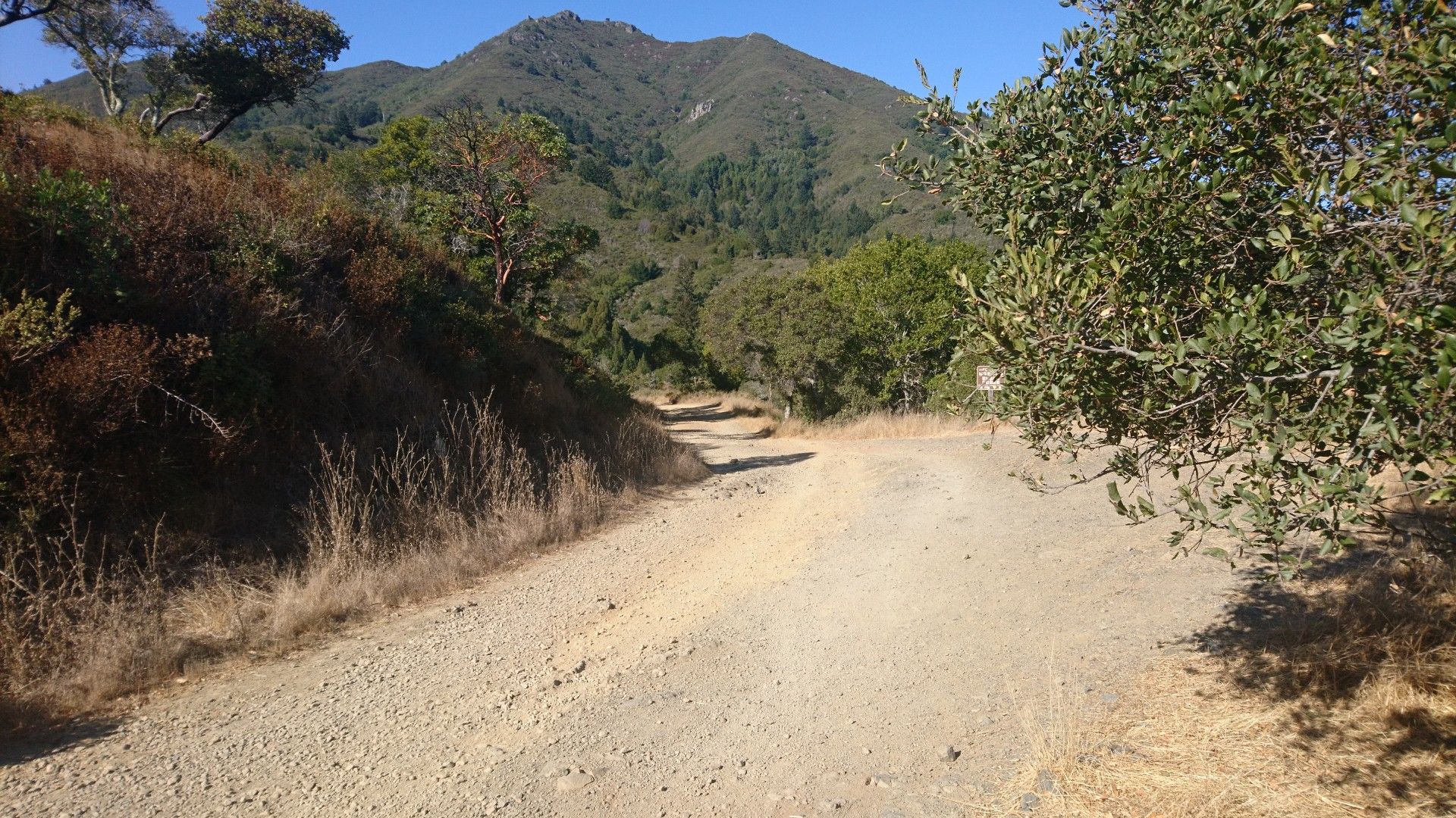 A sunlit dirt road winding through dry grass towards a forested mountain. - Old Railroad Grade and Hoo-Koo-E-Koo Loop
