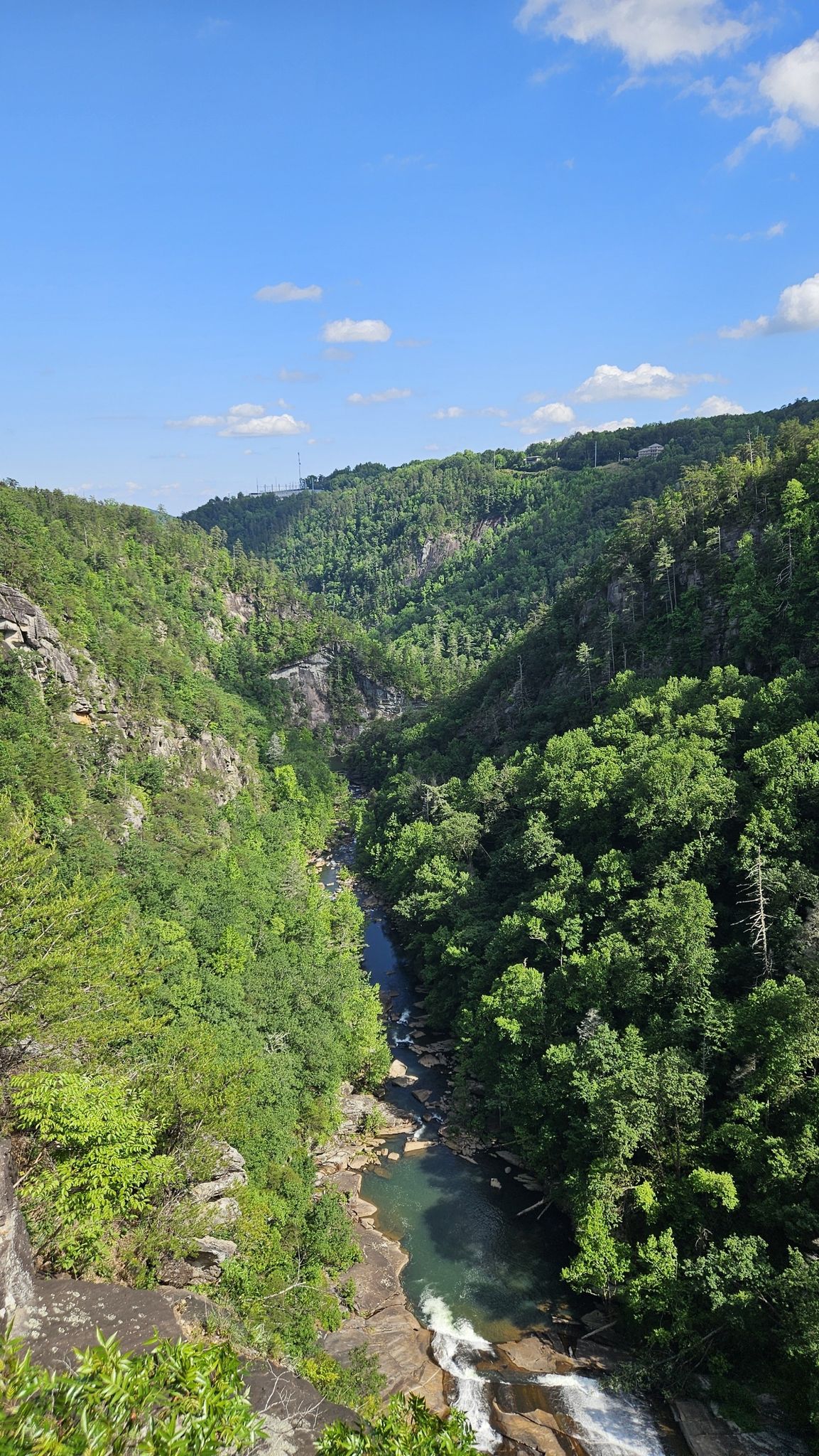 Vertical view of a river and waterfalls in a vast, green canyon. - Oceana Falls Overlook – Seed Lake loop from Tallulah Falls