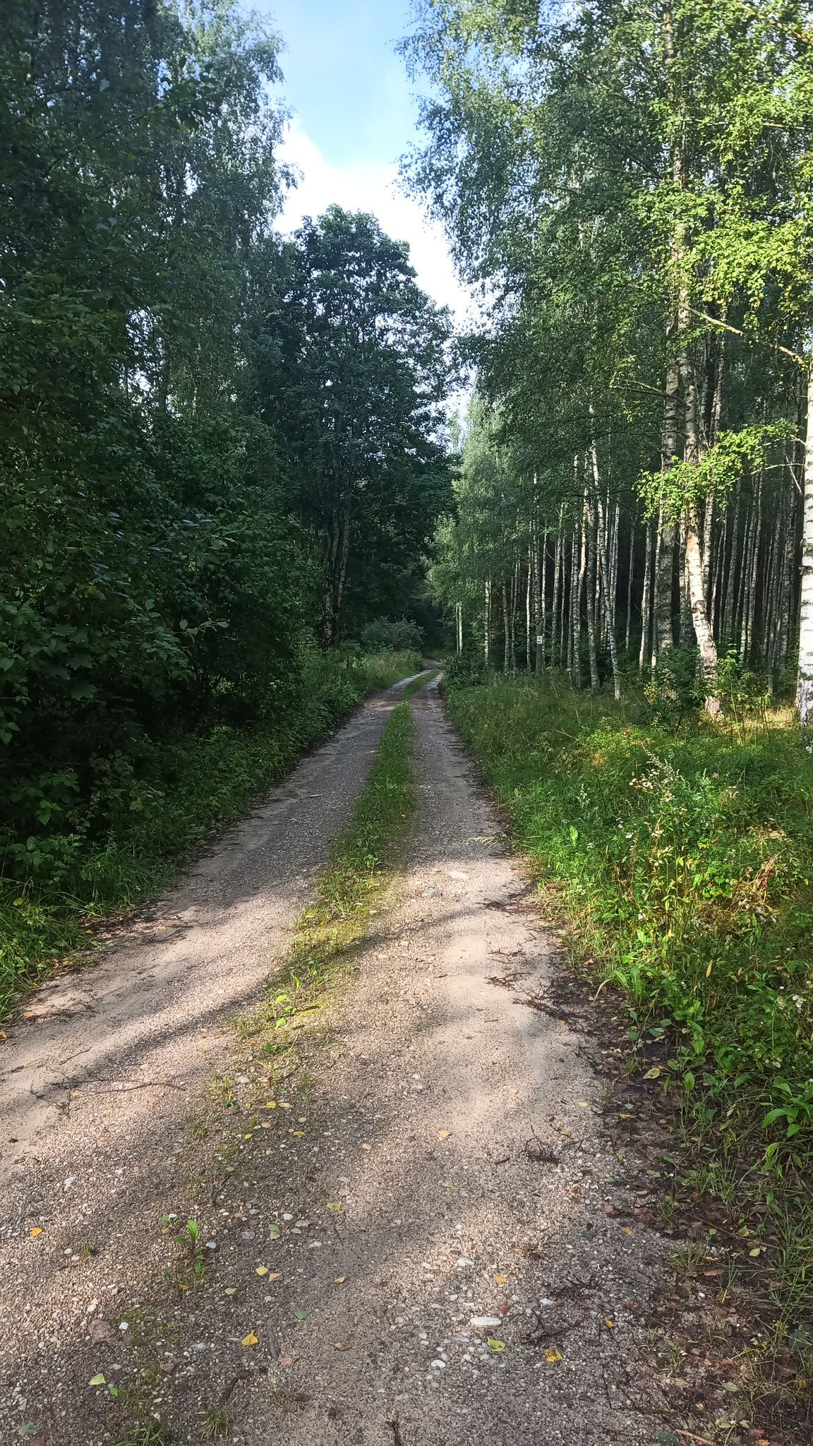 nice trail