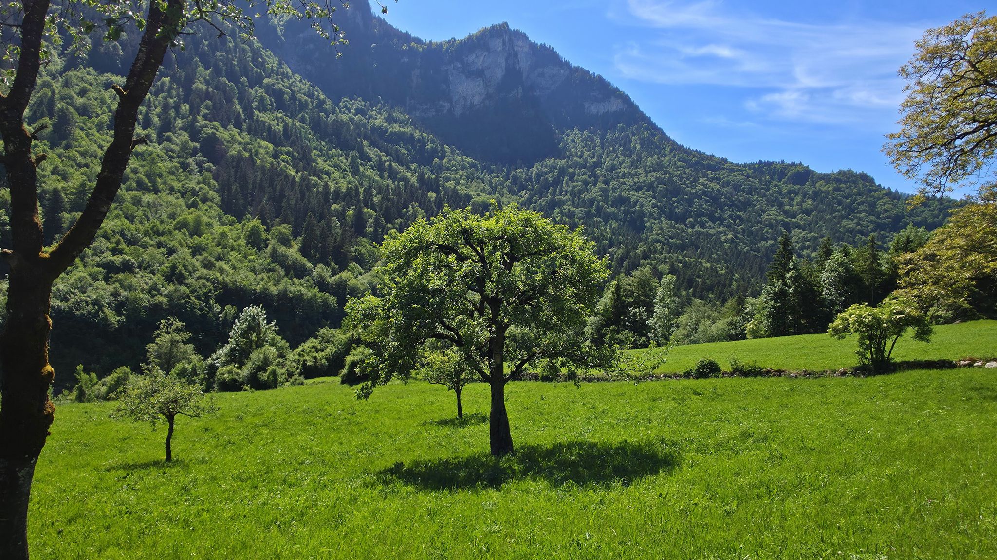 Auch wenn nicht weit entfernt, die vielbefahrene Hauptstrasse verläuft, zeigt sich hier die Landschaft von ihrer beschaulichen Seite