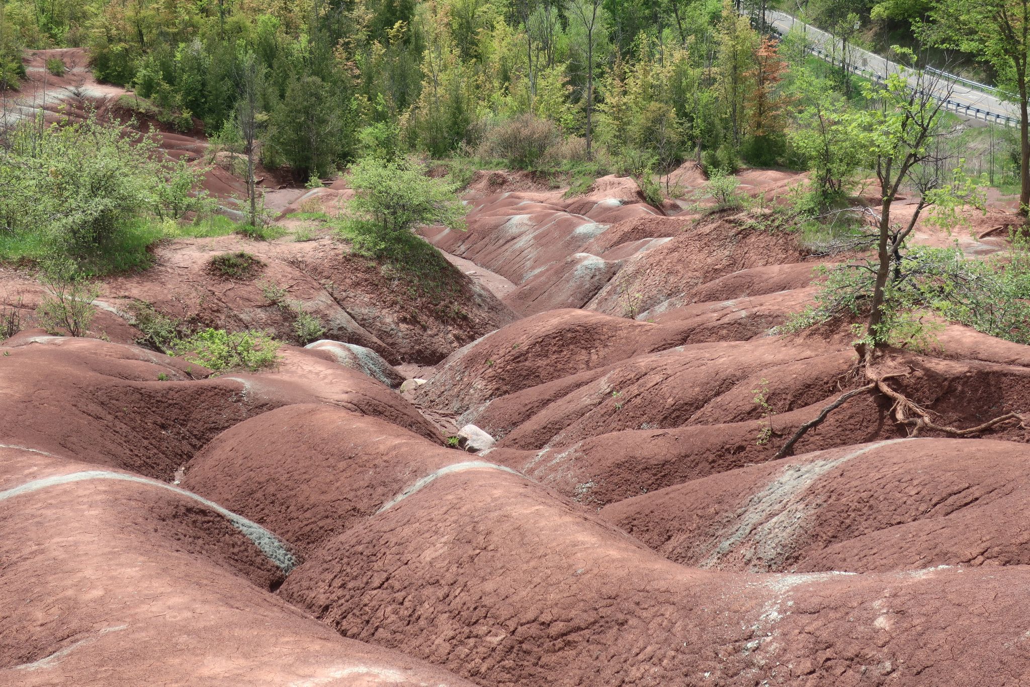 Cheltenham Badlands