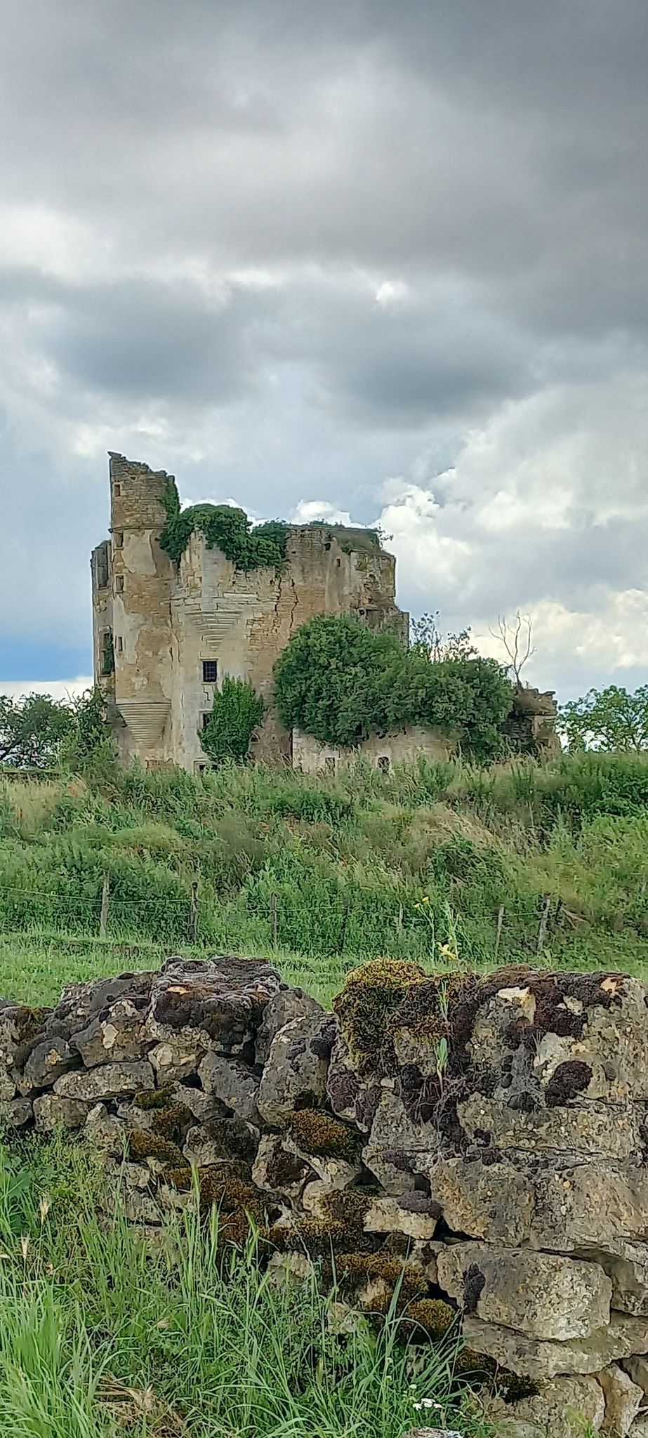 chateau