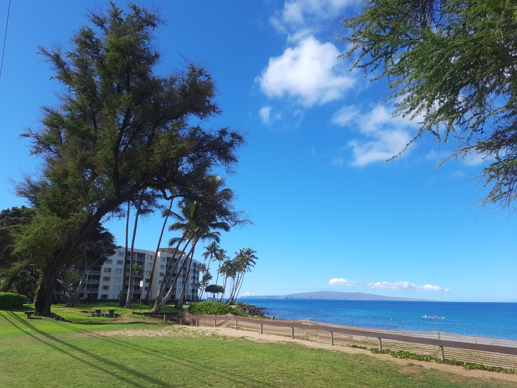 Sunny beach scene with green grass, tall trees, buildings, and blue ocean. - Charley Young Beach – Kamaole III Beach loop from Wailea