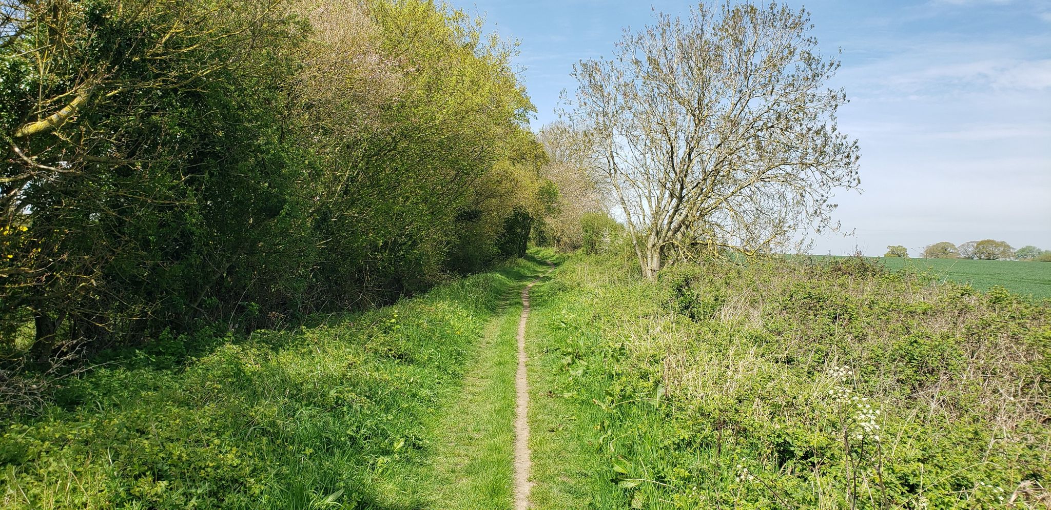 Peddars Way