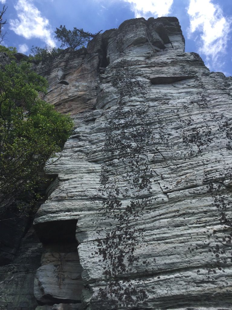 Tall, layered rock cliff face under a bright blue sky with clouds. - Pilot Knob Trail