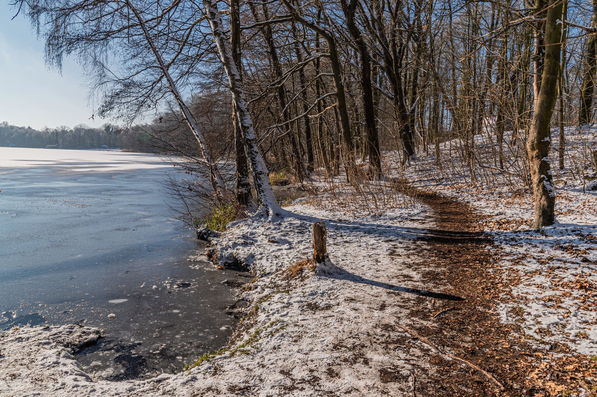 Uferpfad am Bötzsee (2)