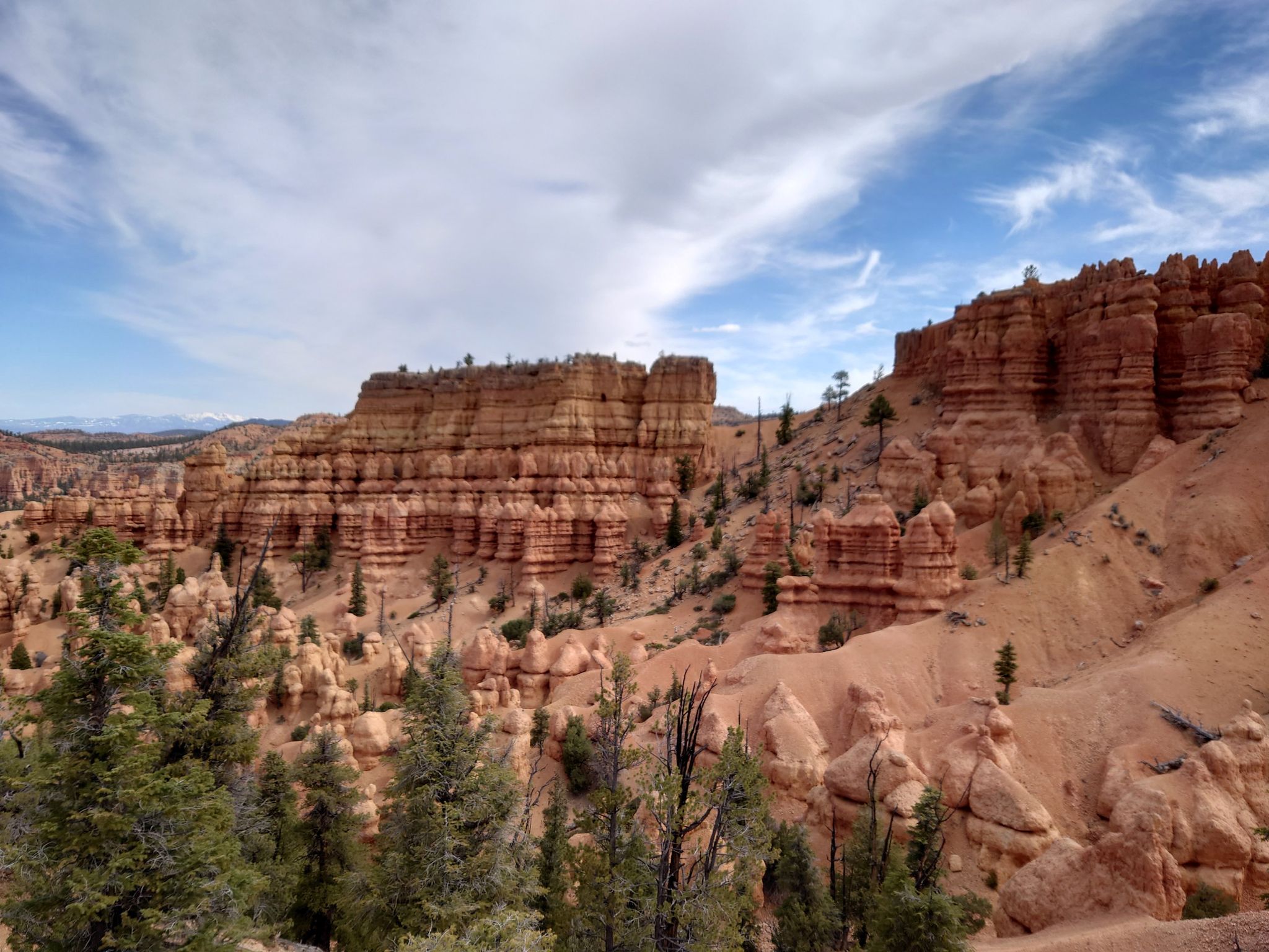 Expansive view of layered red rock formations and green pine trees. - Golden Wall Trail to Castle Bridge Trail