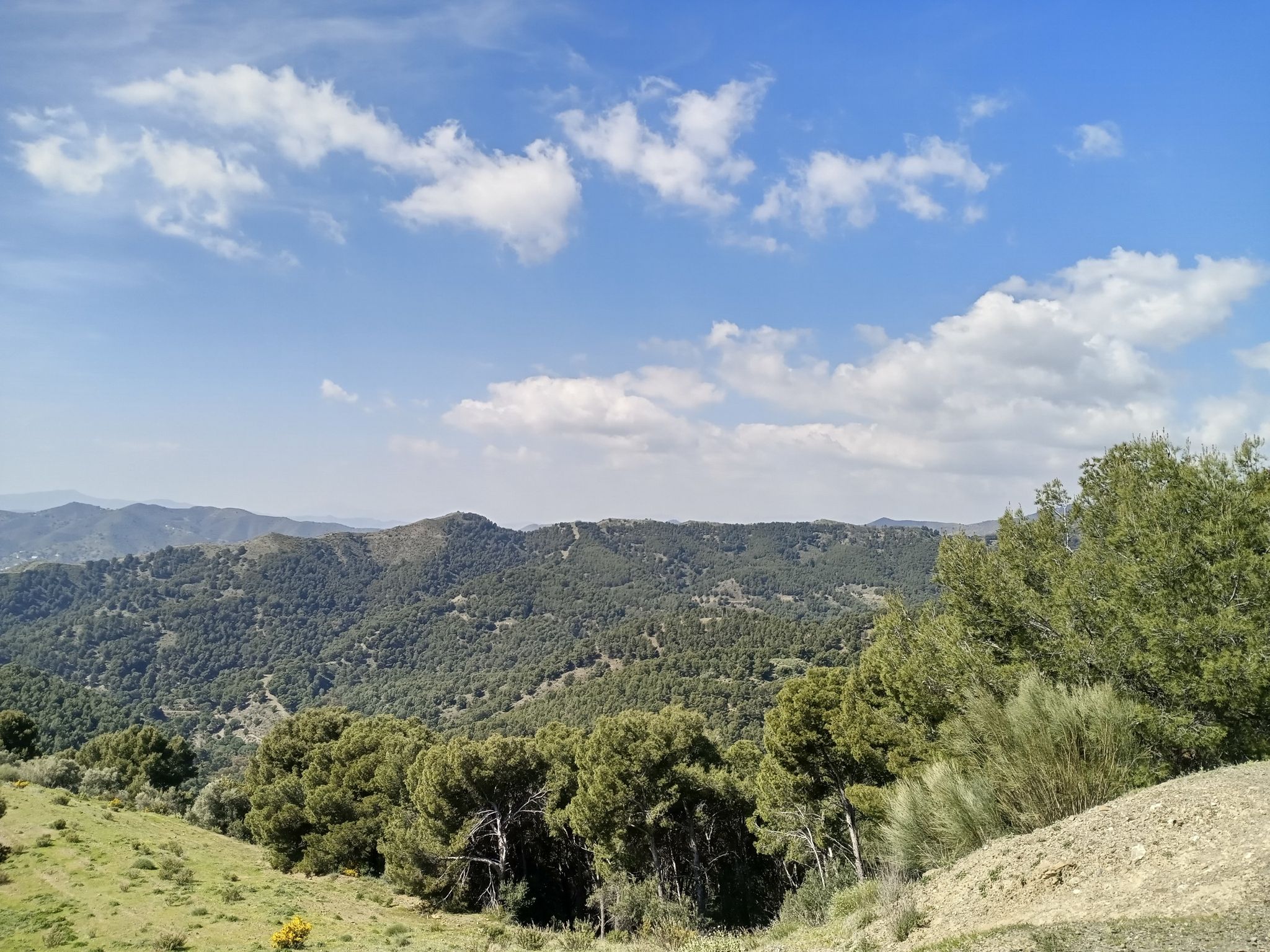 montañas 